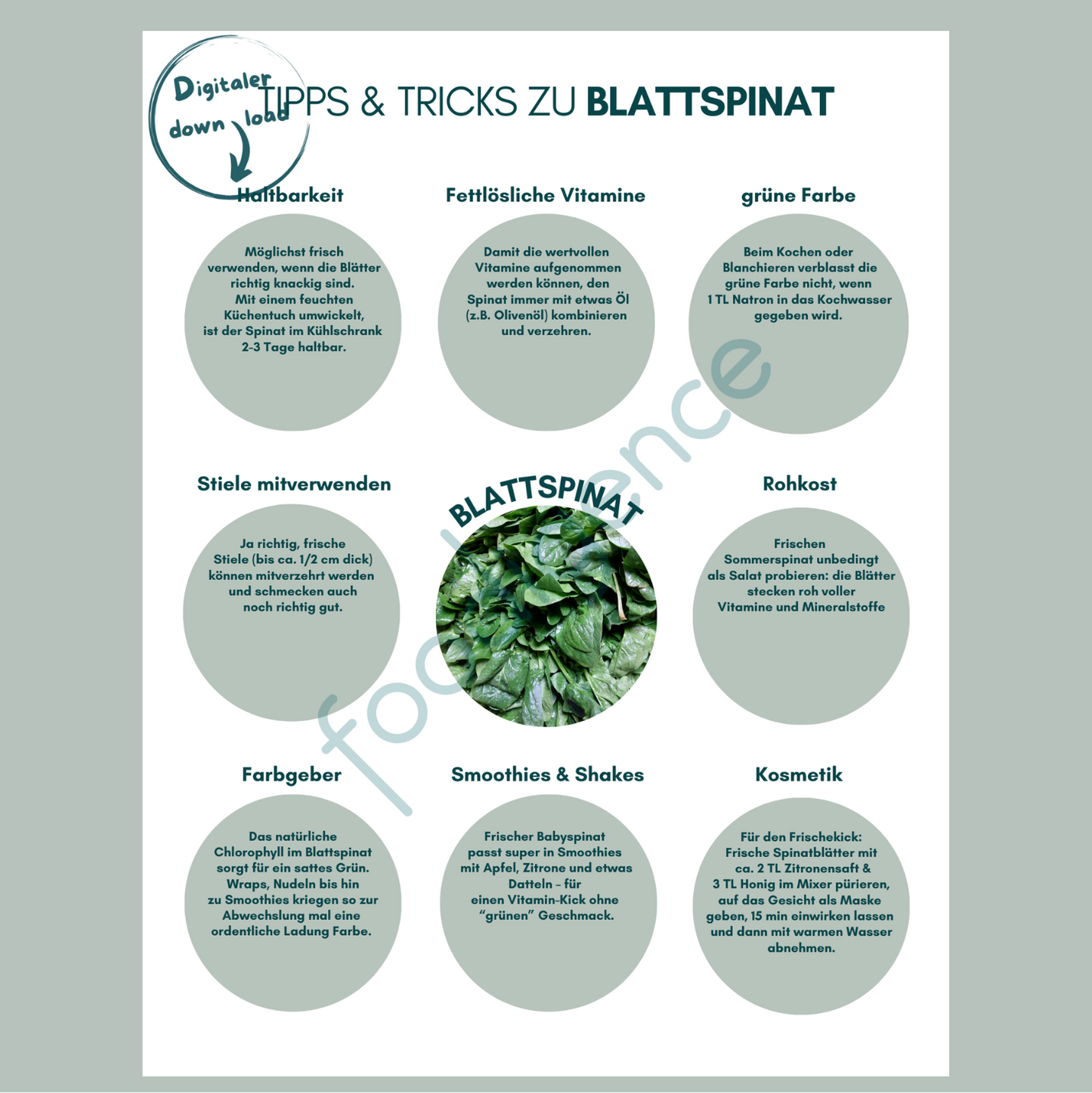 Tipps-und-Tricks-Blattspinat-foodigence-1