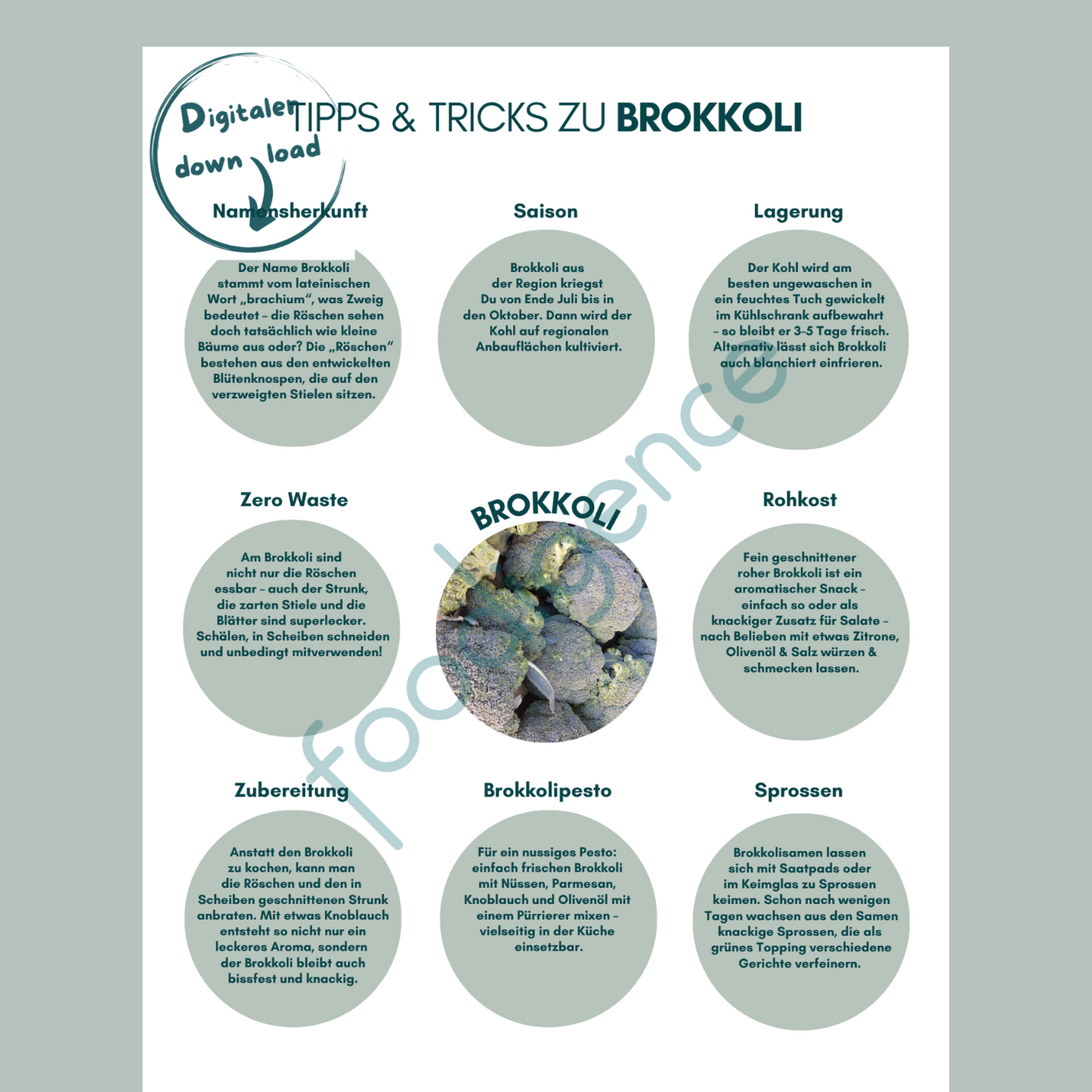 Tipps-und-Tricks-Brokkoli-DE-foodigence-3