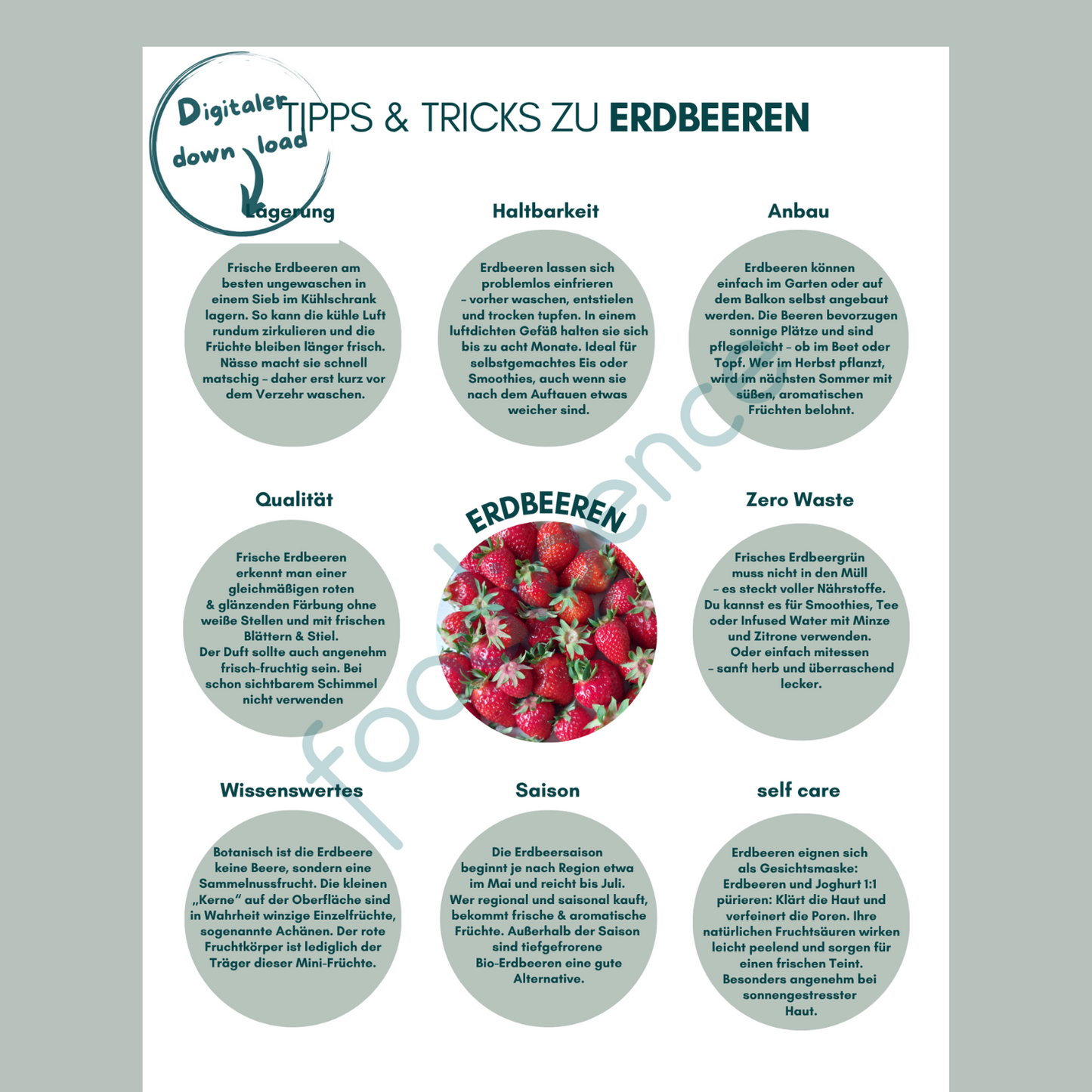 Tipps-und-Tricks-Erdbeere-DE-foodigence-1