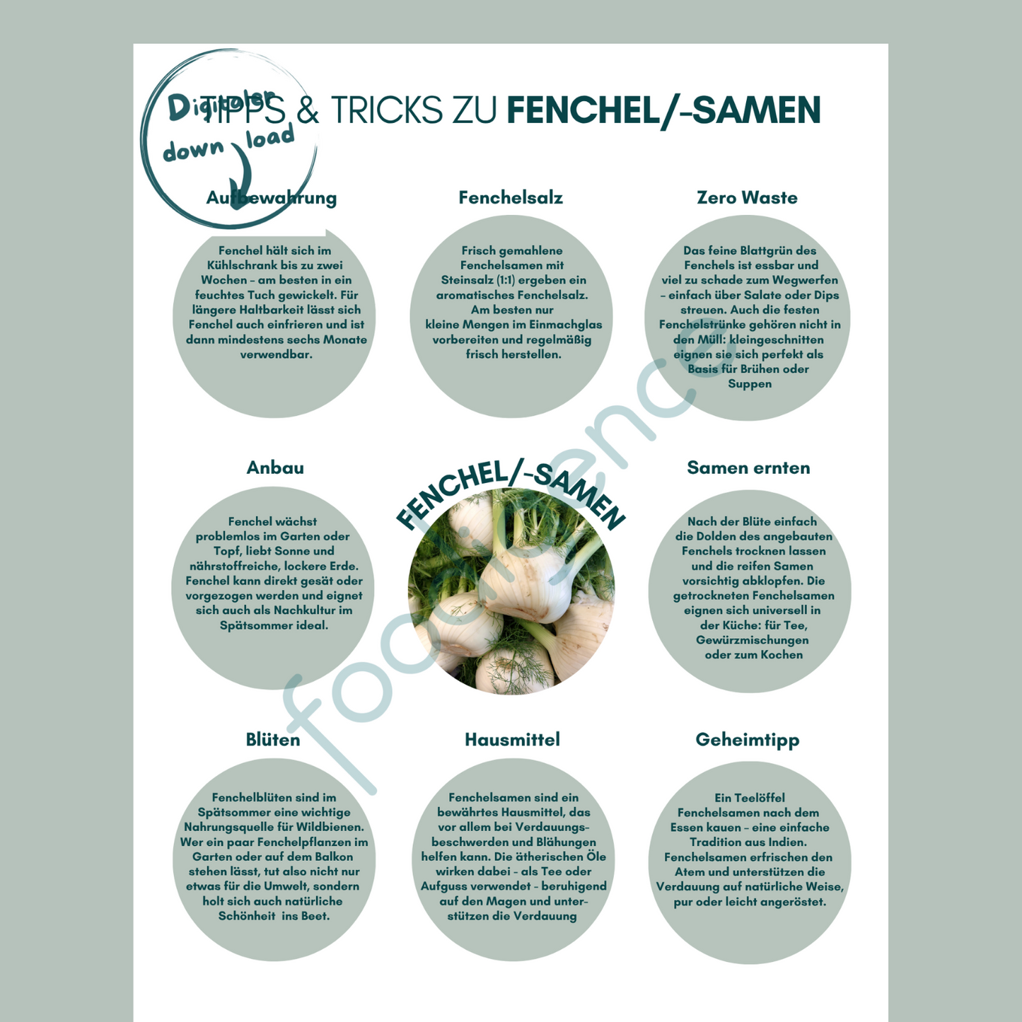 Tipps-und-Tricks-Fenchel-DE-foodigence-1