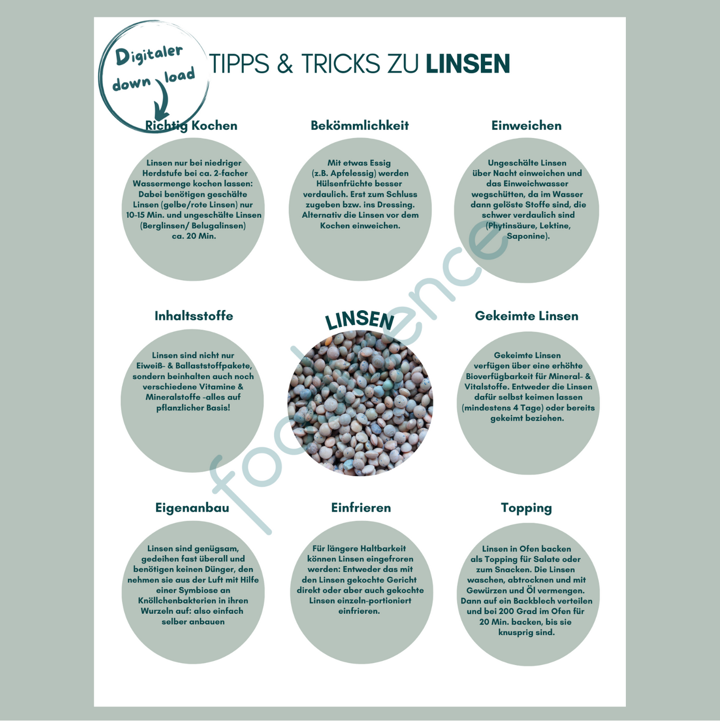 Tipps-und-Tricks-Linsen-DE-foodigence-1