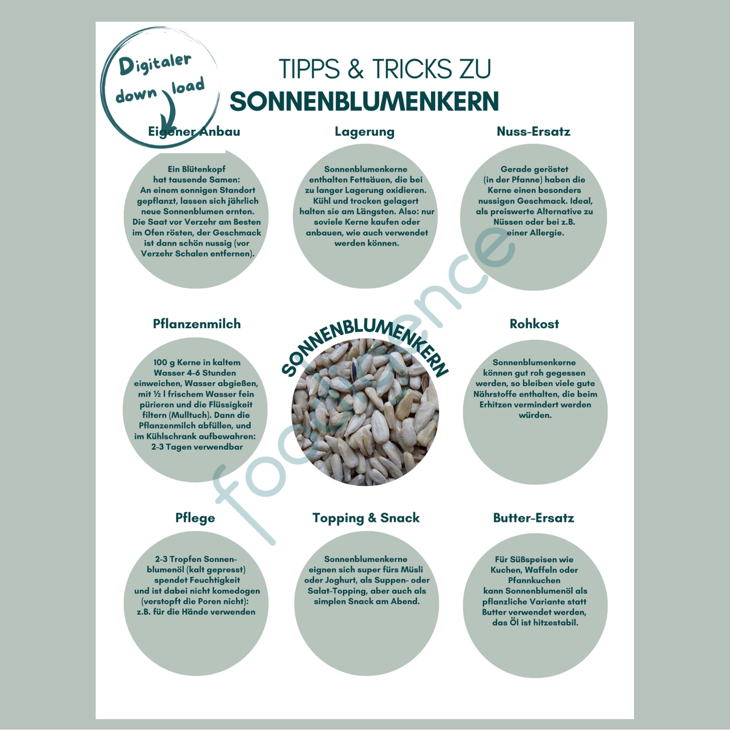Tipps-und-Tricks-Sonnenblumenkerne-DE-foodigence-1