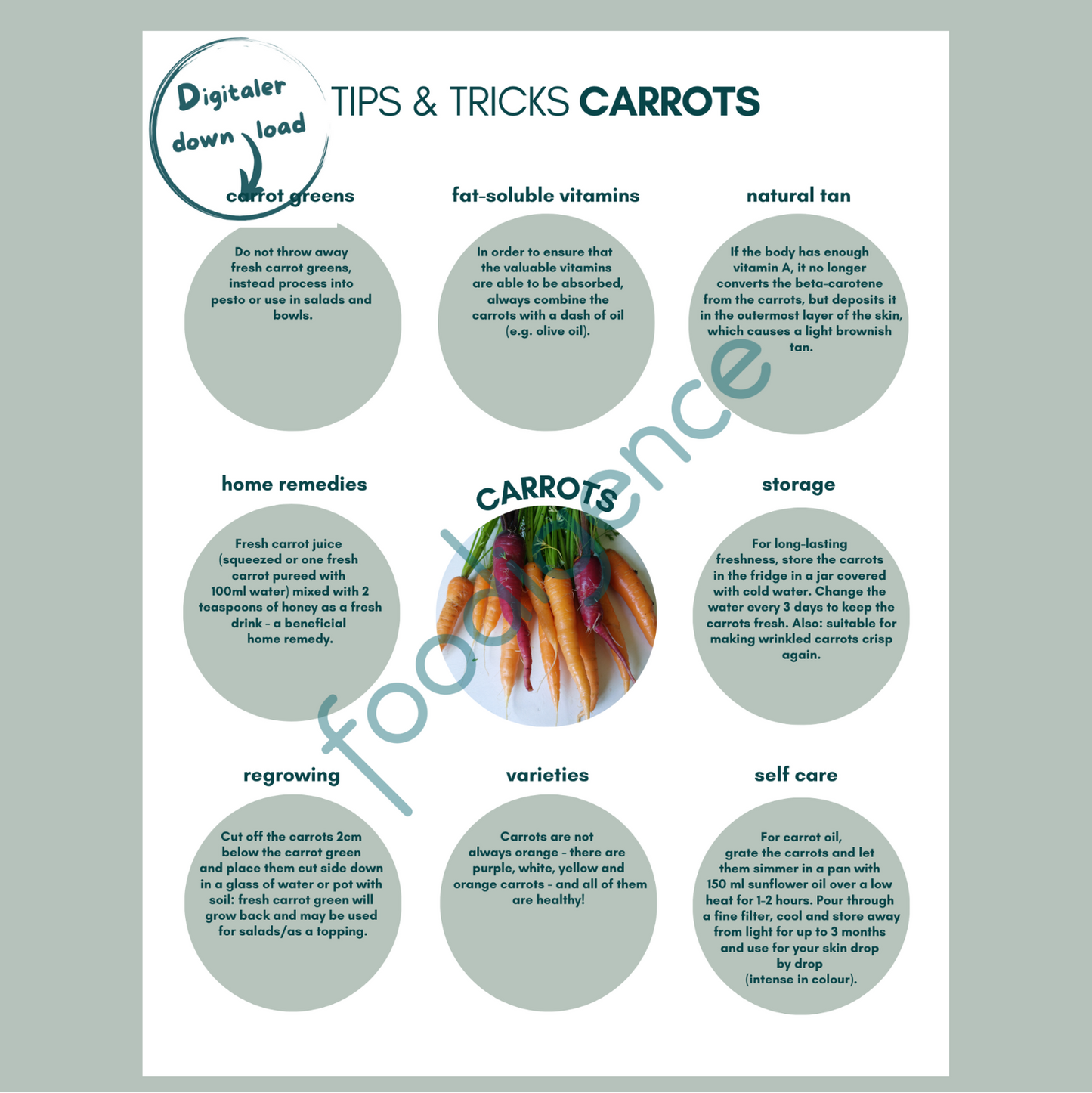 Tipps-und-Tricks-carrots-ENG-foodigence-1