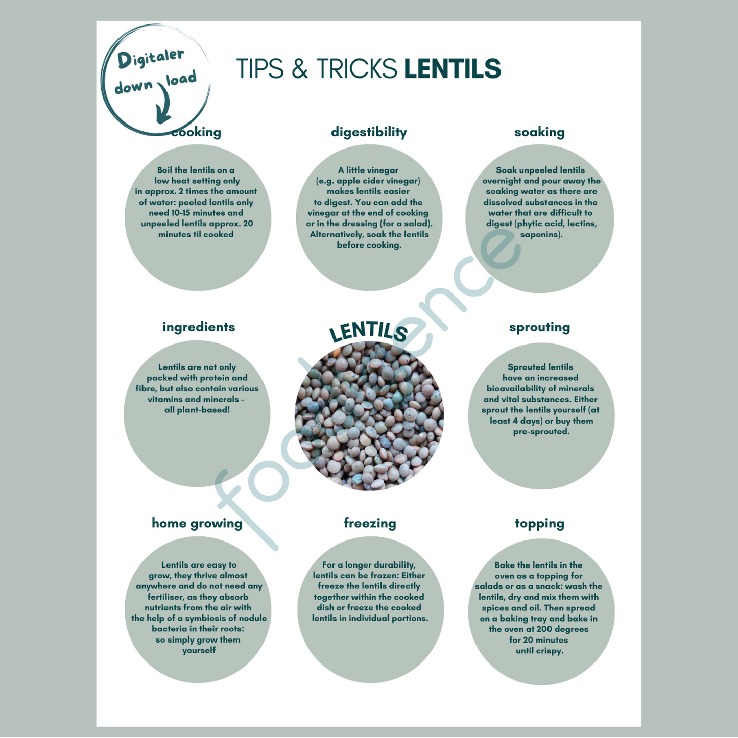 Tipps-und-Tricks-lentils-ENG-foodigence-1