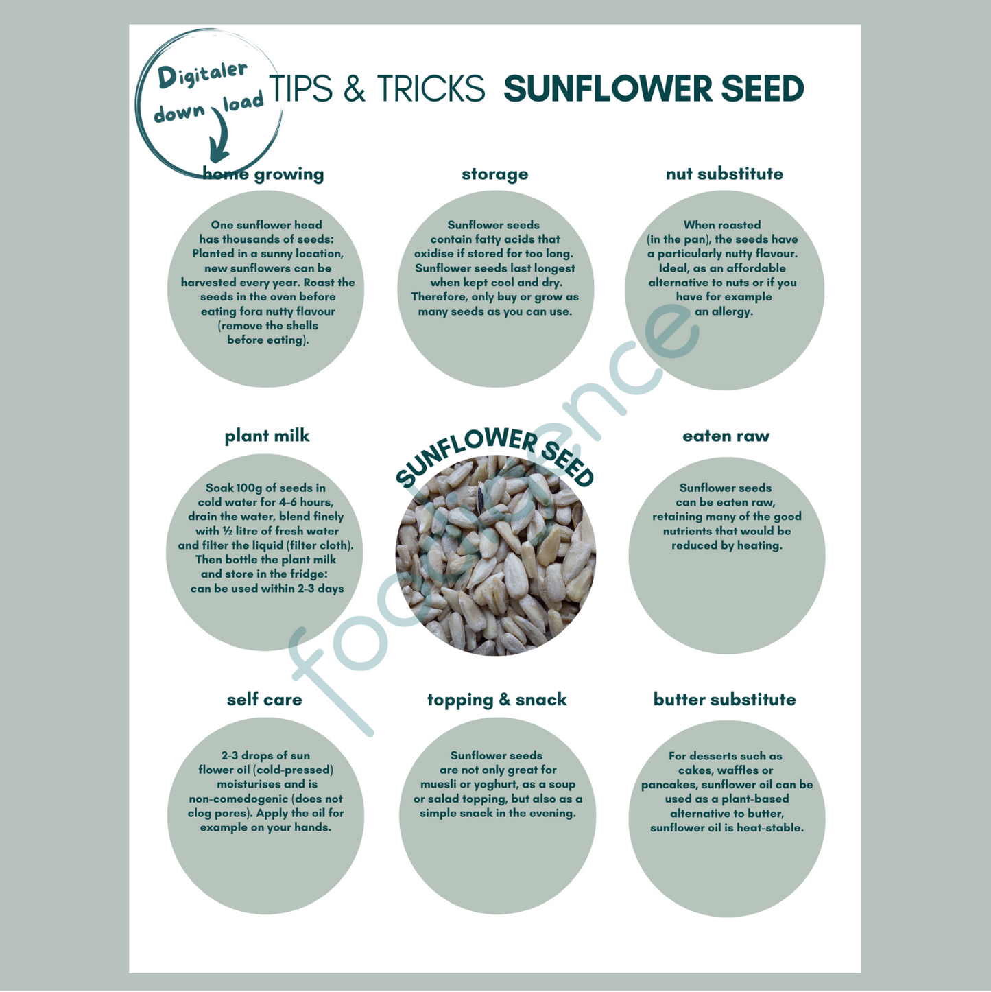 Tipps-und-Tricks-sunflower-seeds-ENG-foodigence-1