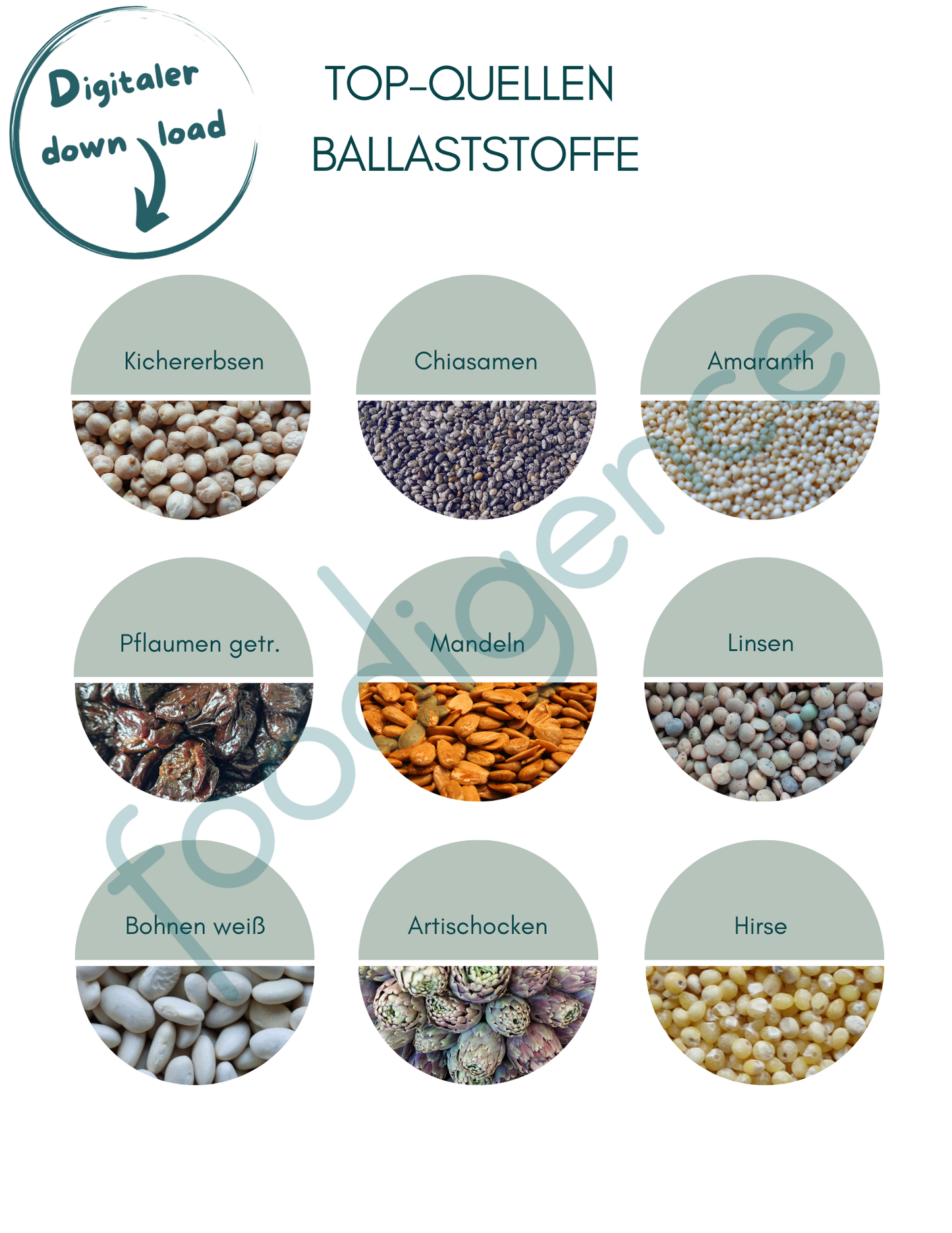 Top-Quellen-Ballaststoffe-DE-foodigence-1
