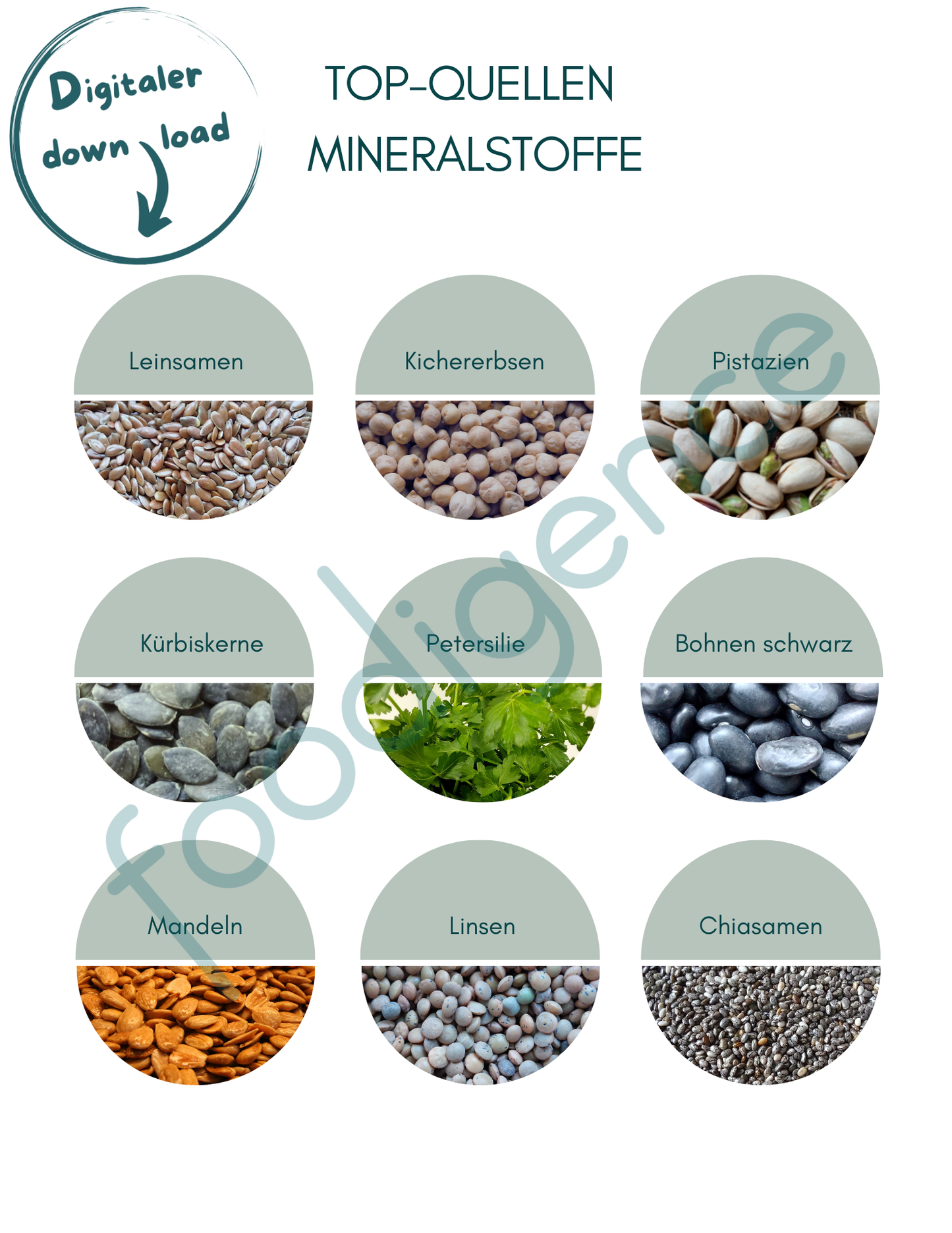 Top-Quellen-Mineralstoffe-DE-foodigence-1