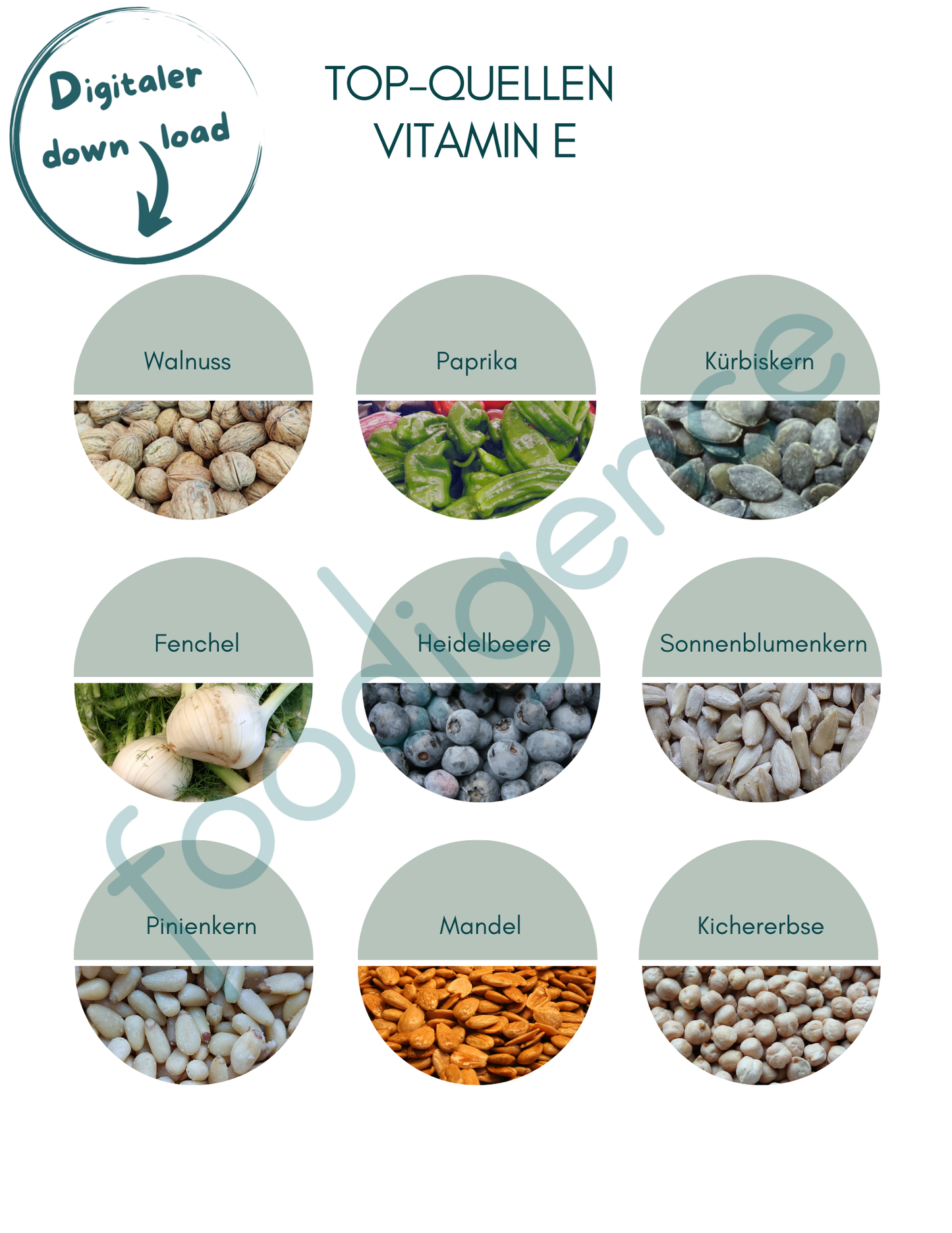 Top-Quellen-Vitamin-E-DE-foodigence-1