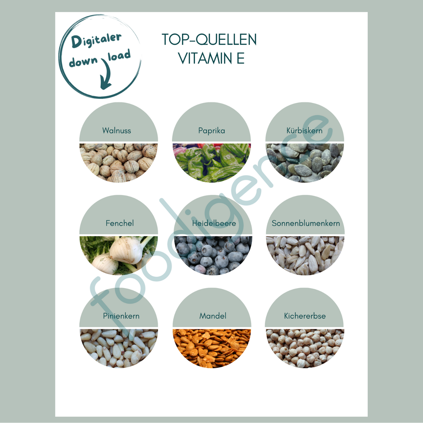 Top-Quellen-Vitamin-E-foodigence-5