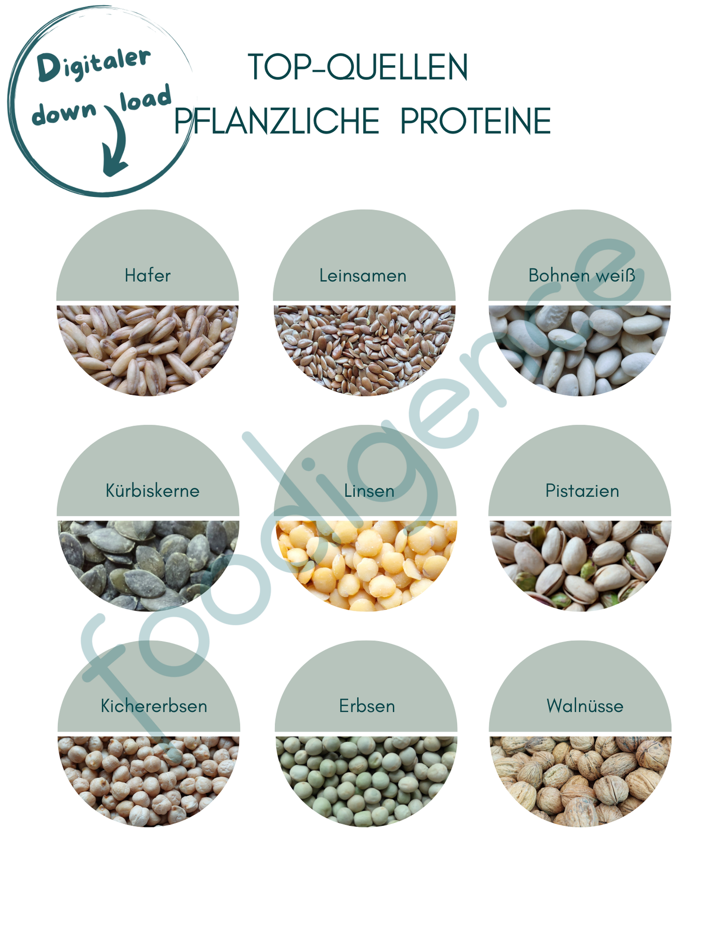 Top-Quellen-pflanzl.-Proteine-DE-foodigence-1