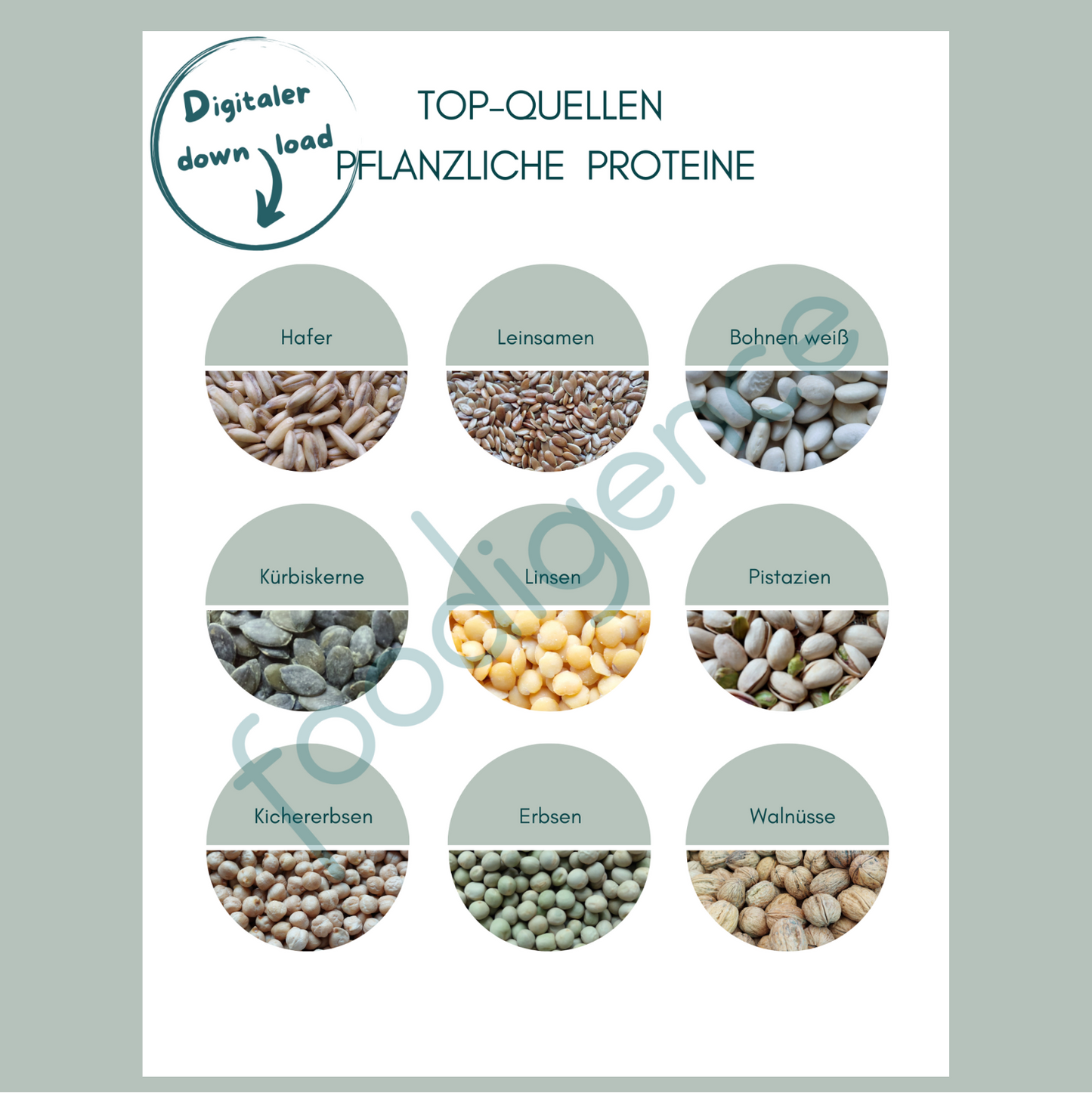 Top-Quellen-pflanzliche-Proteine-foodigence-5
