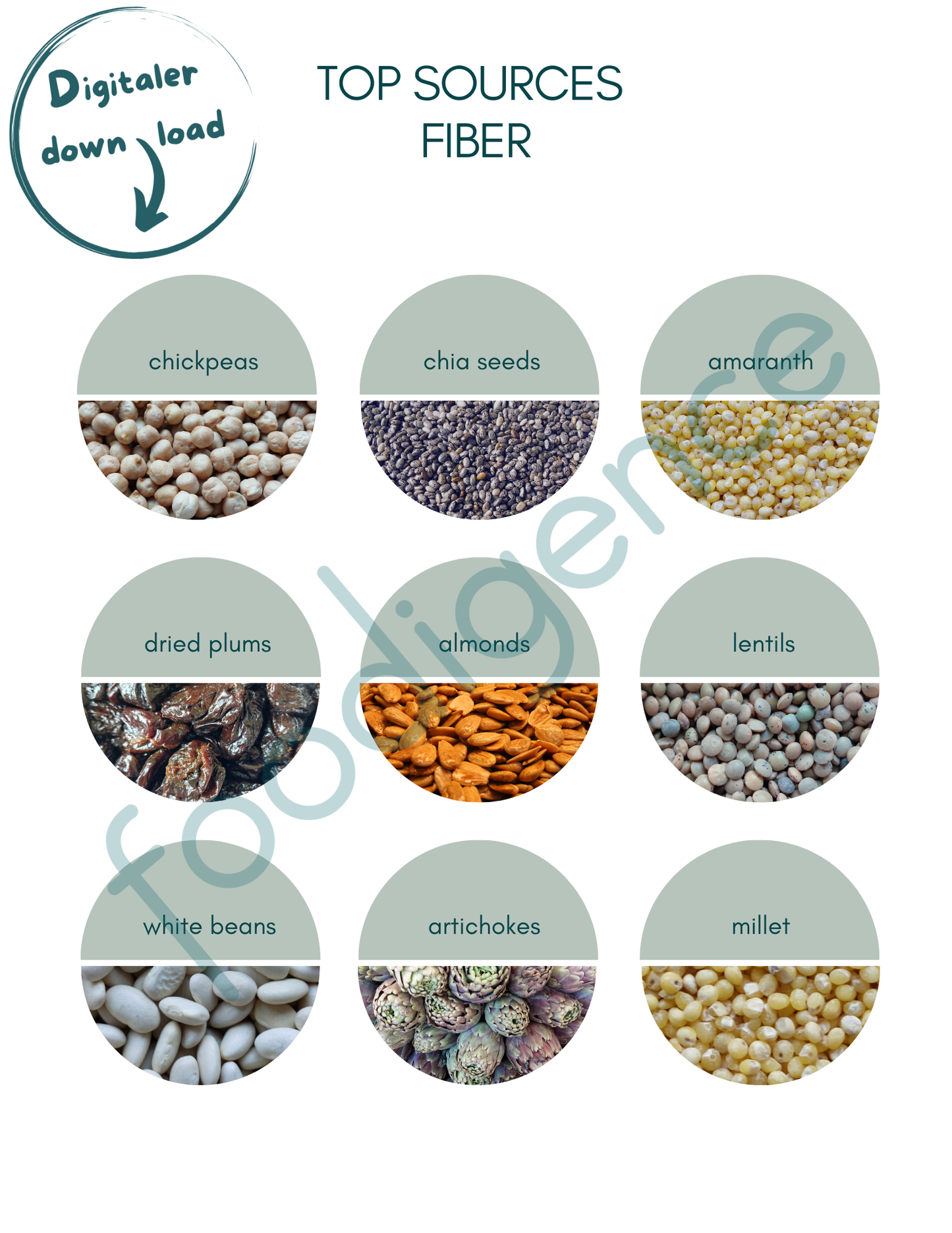 Top-Sources-Fibers-ENG-foodigence-1