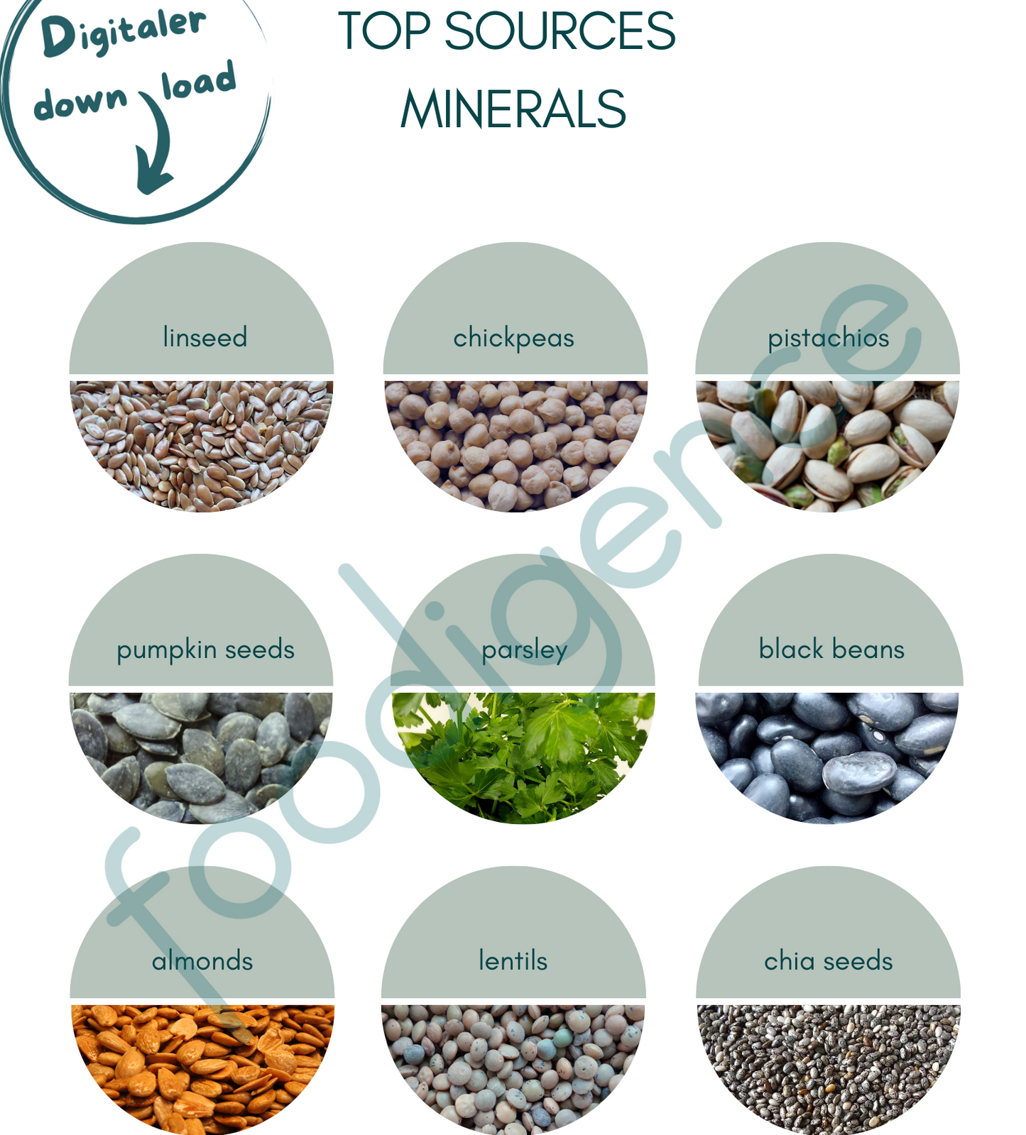 Top-Sources-Minerals-ENG-foodigence-1