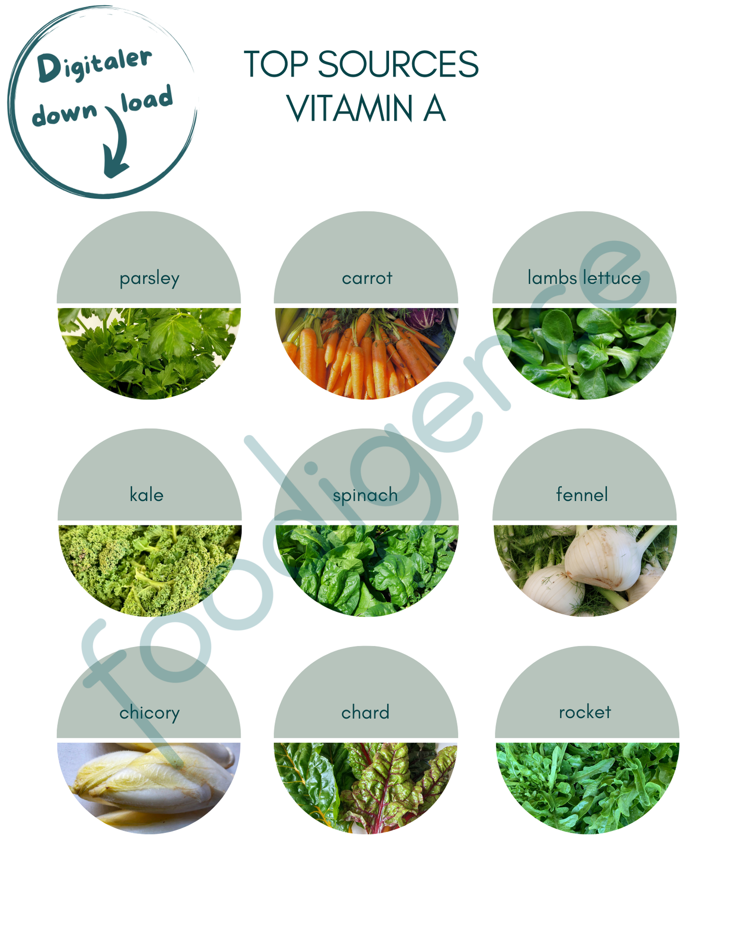 Top-Sources-Vitamin-A-ENG-foodigence-1
