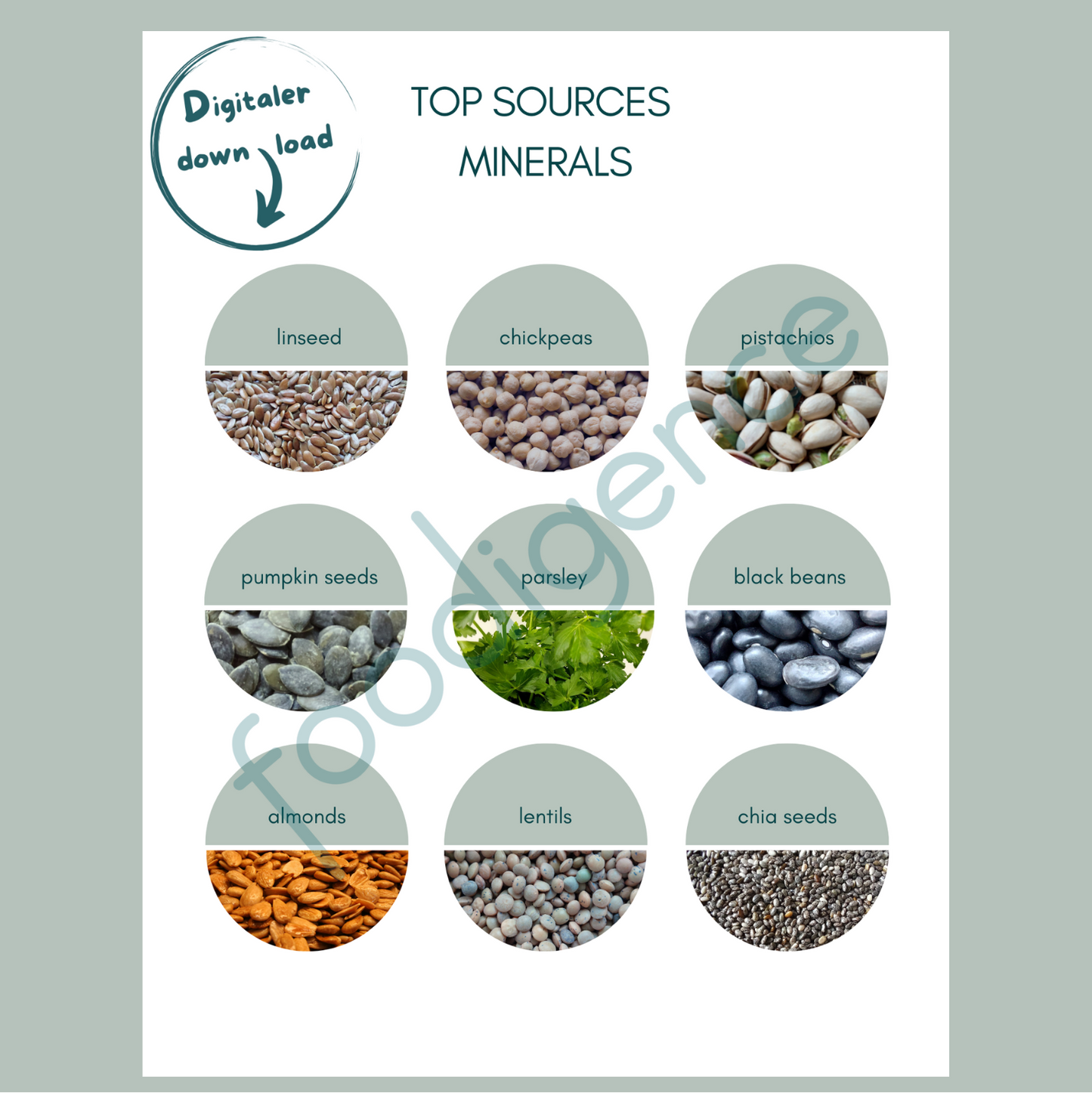 Top-sources-minerals-foodigence-5