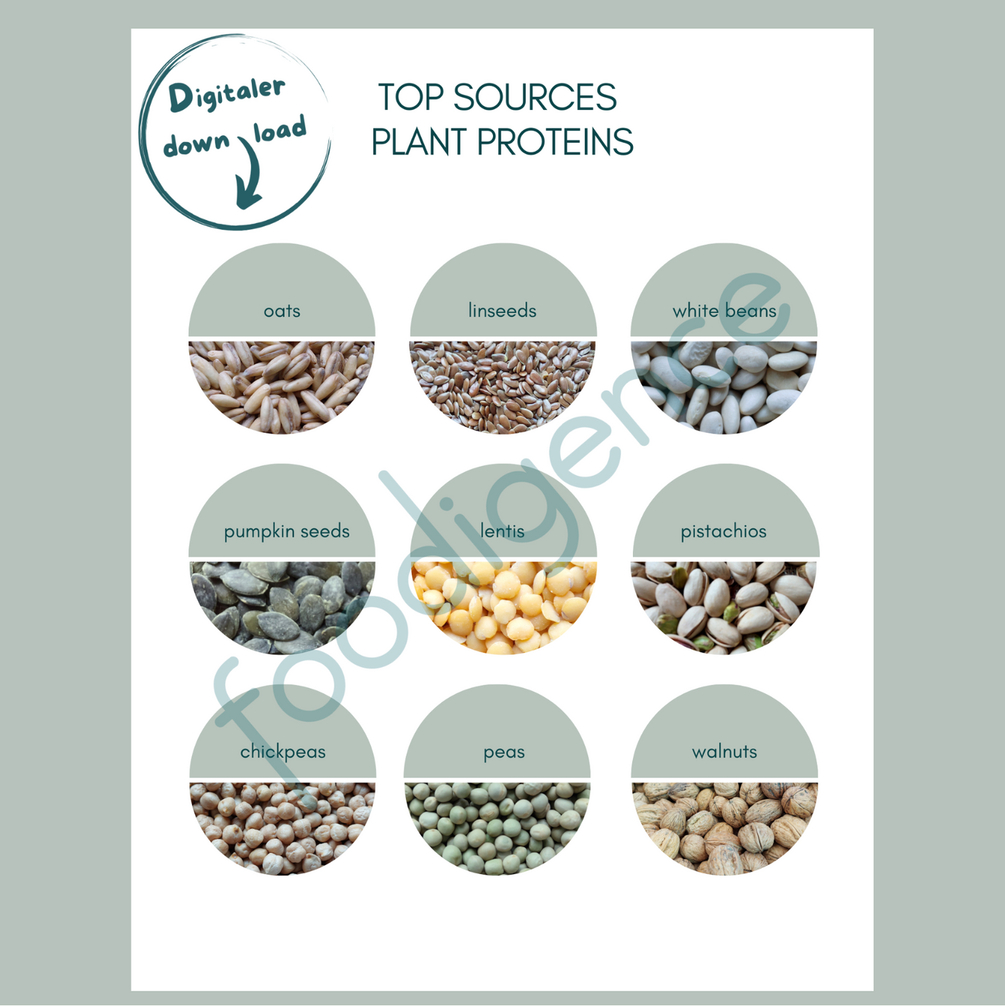 Top-sources-plant-Proteine-foodigence-5