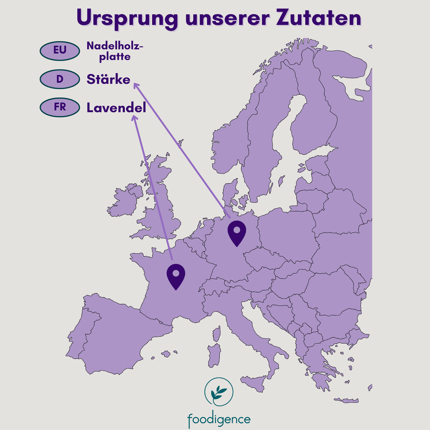 Ursprung-Zutaten-Lavendel-foodigence