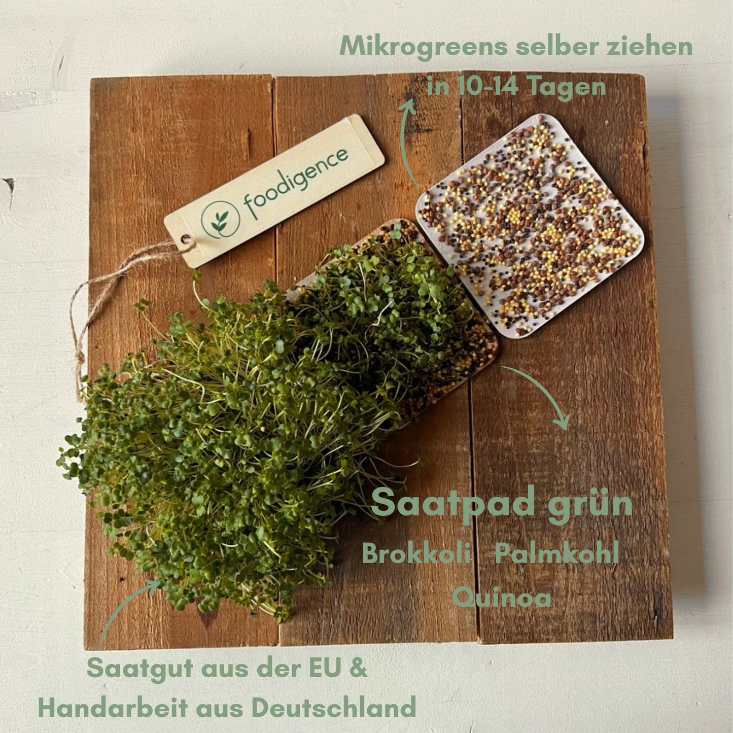 saatpad-gruen-foodigence-8