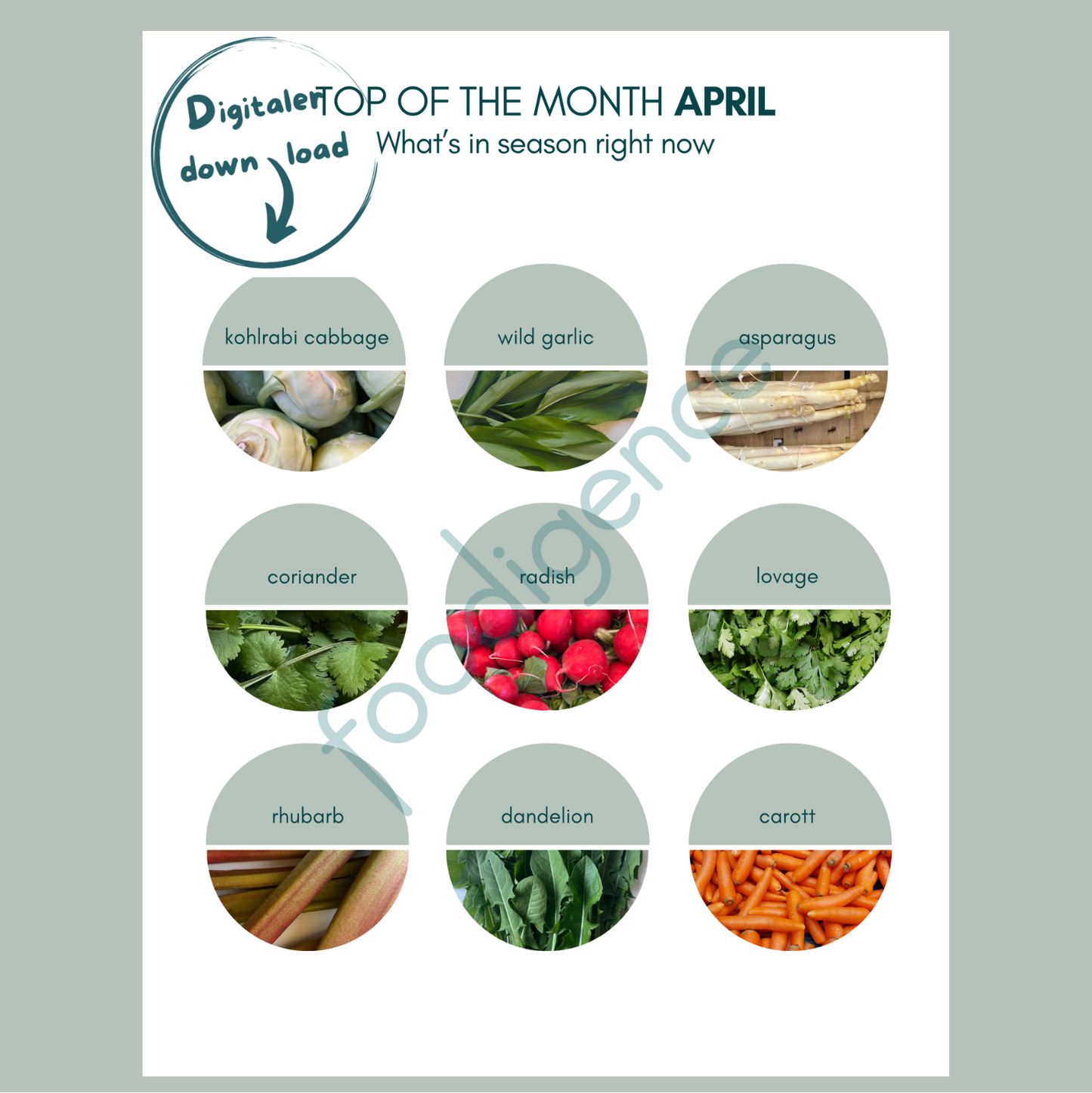 saisonkalender-april-eng-foodigence-1