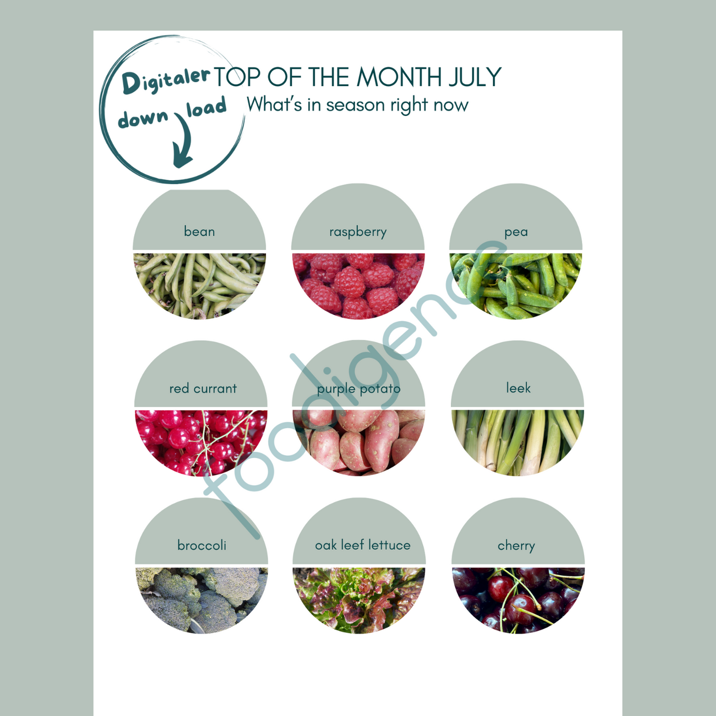 saisonkalender-july-eng-foodigence-1