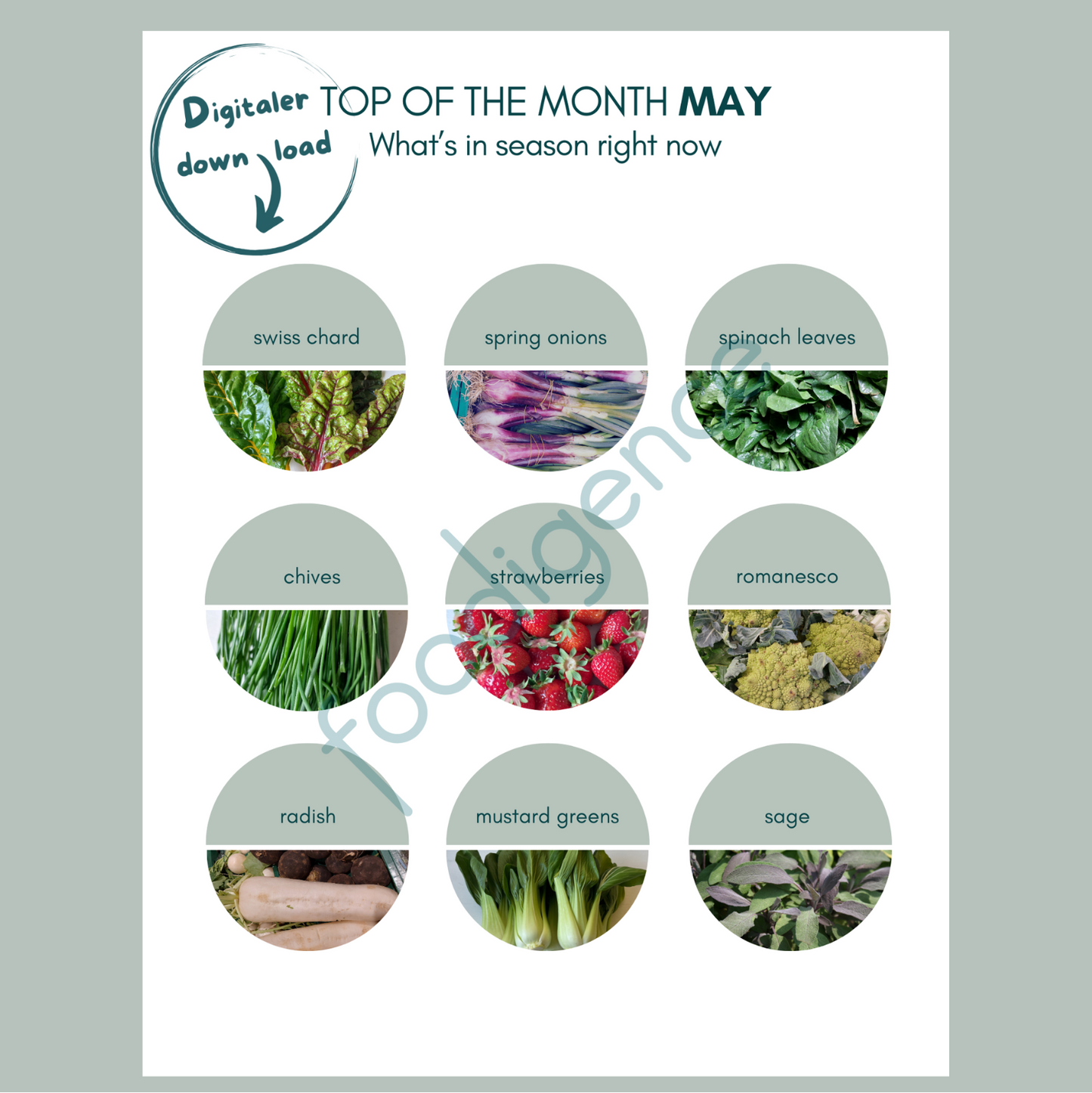 saisonkalender-may-eng-foodigence-1