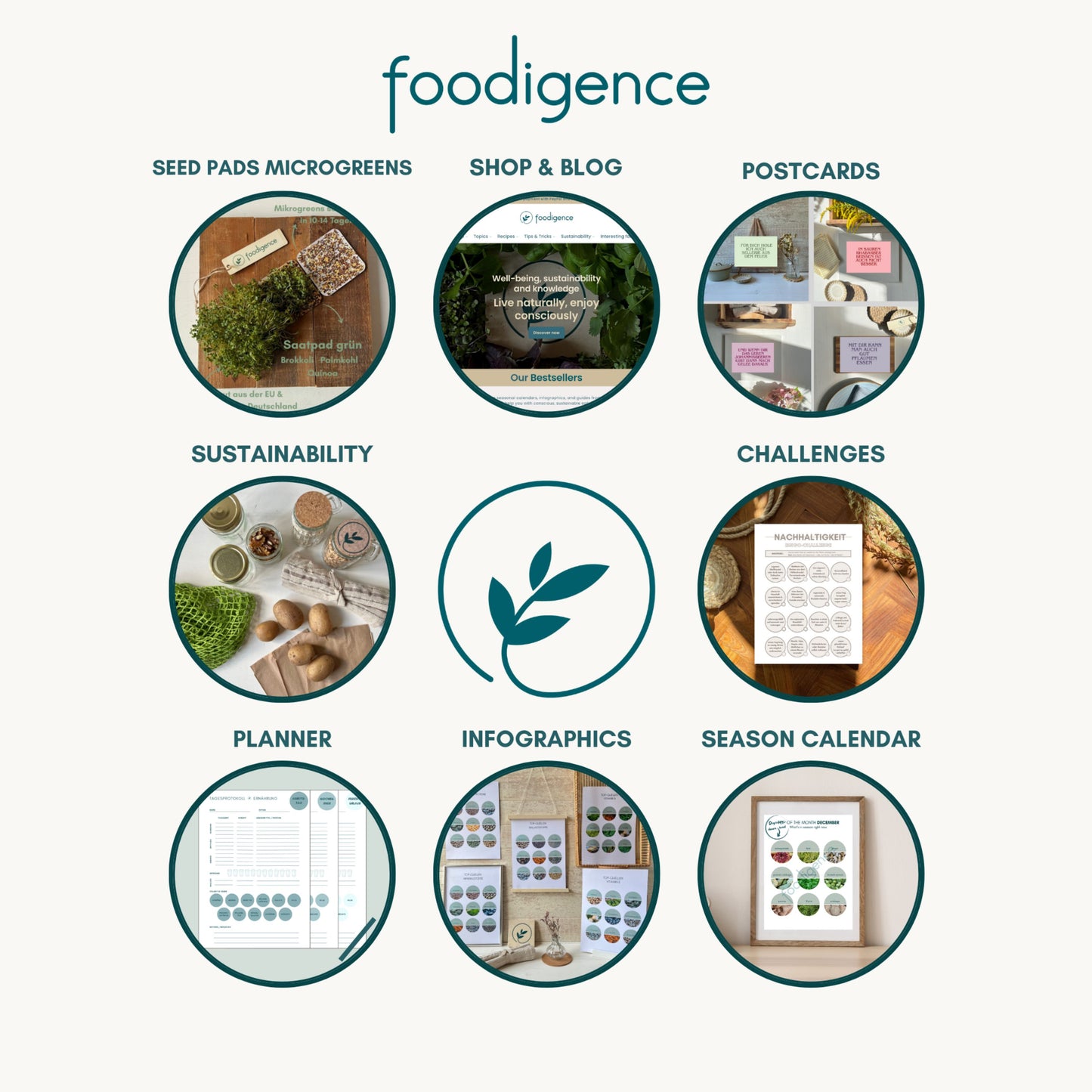 Übersicht aller Produktkategorien von foodigence