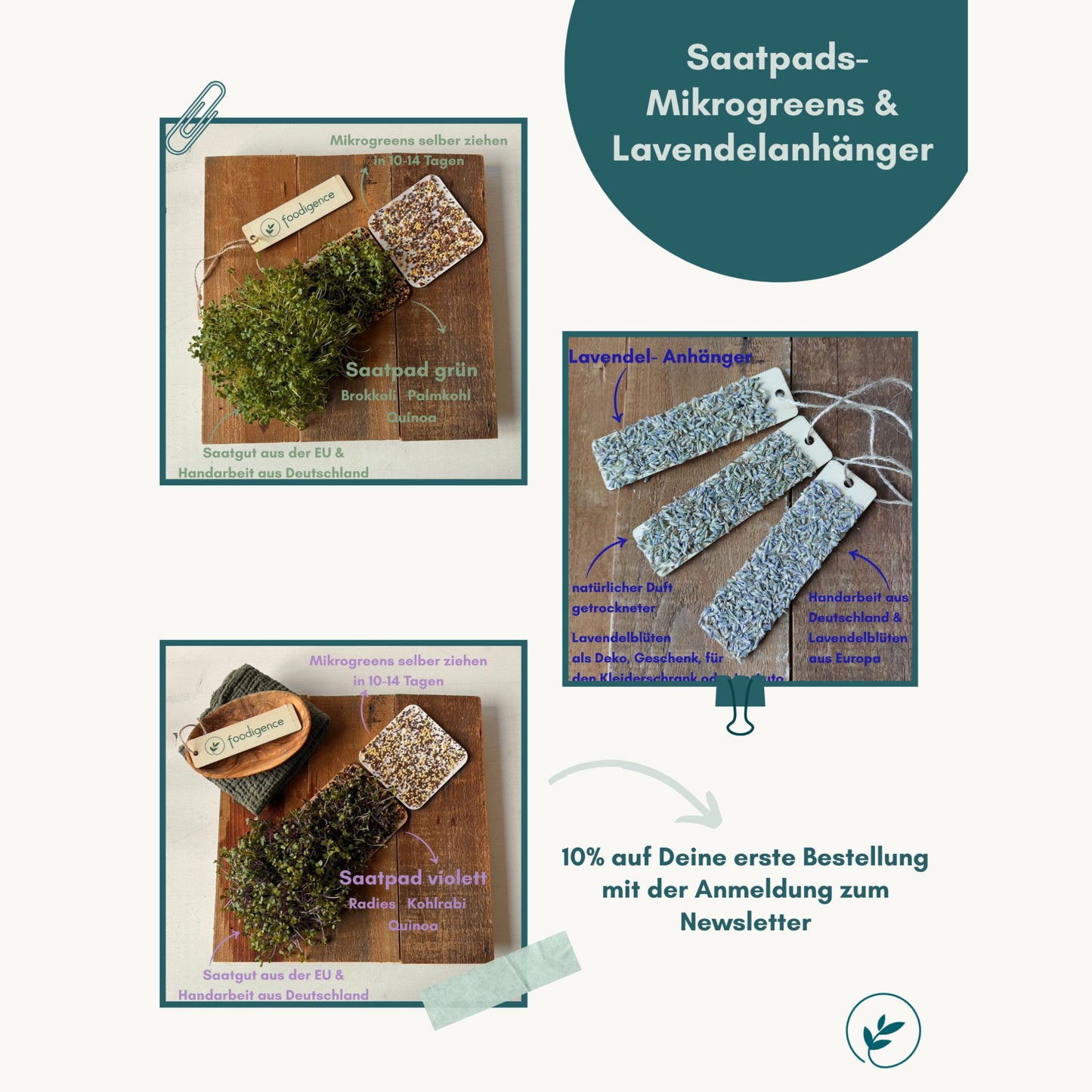 Übersicht nachhaltige Produkte wie Mikrogreens und Duftanhänger von foodigence