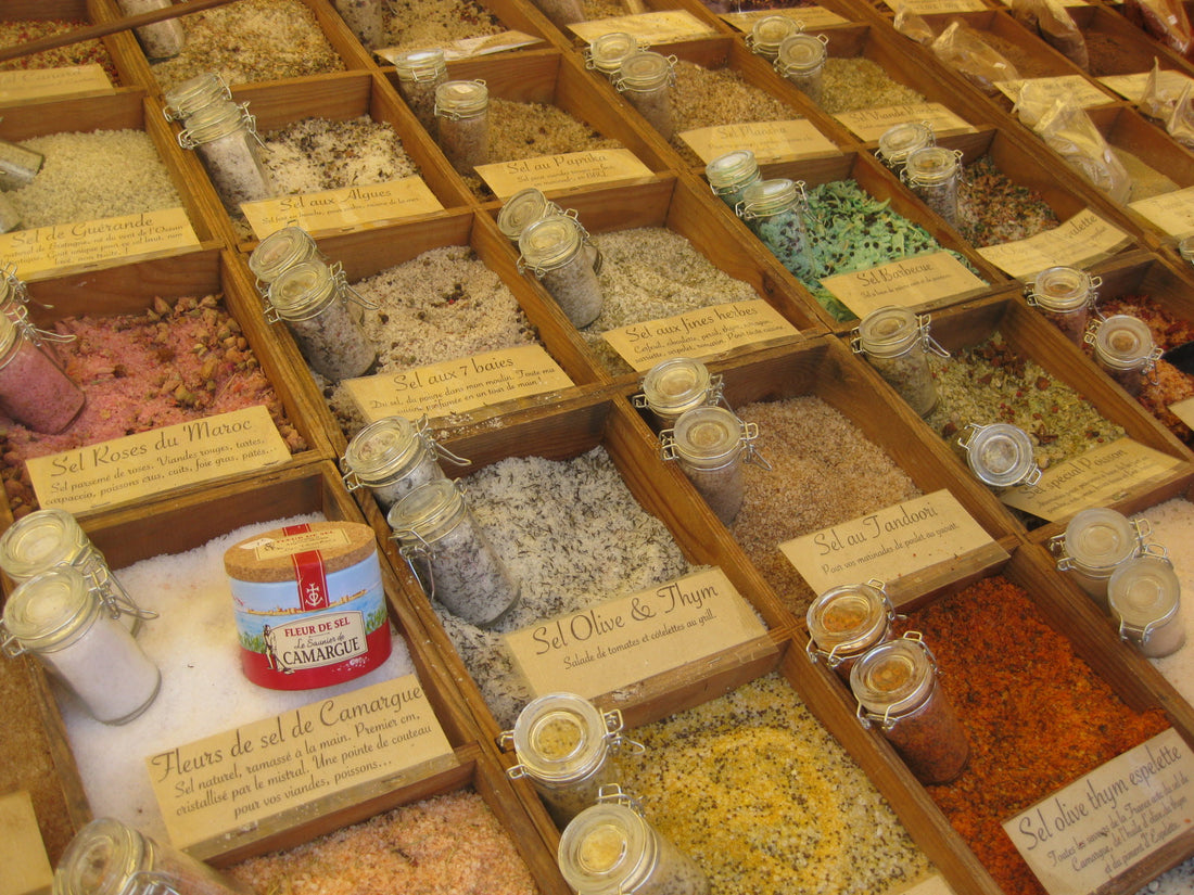 Salze - ein Überblick