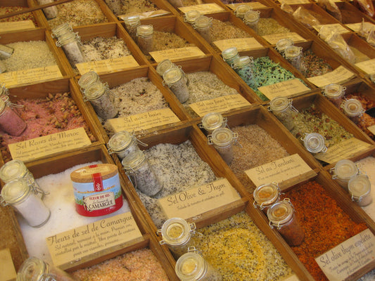 Salze - ein Überblick