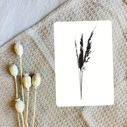 Dried Flowers Postcard Set – 6 Designs DIN A6 – Minimalist Botanical