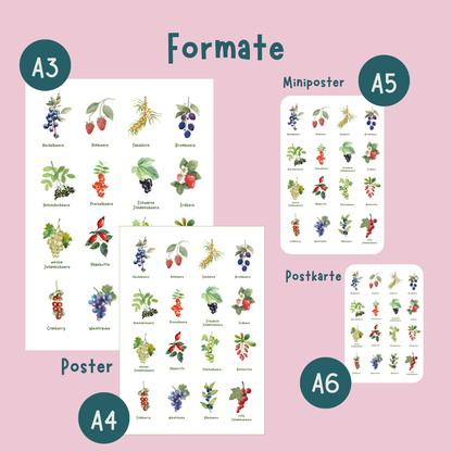 Formatberblick A6 bis A3