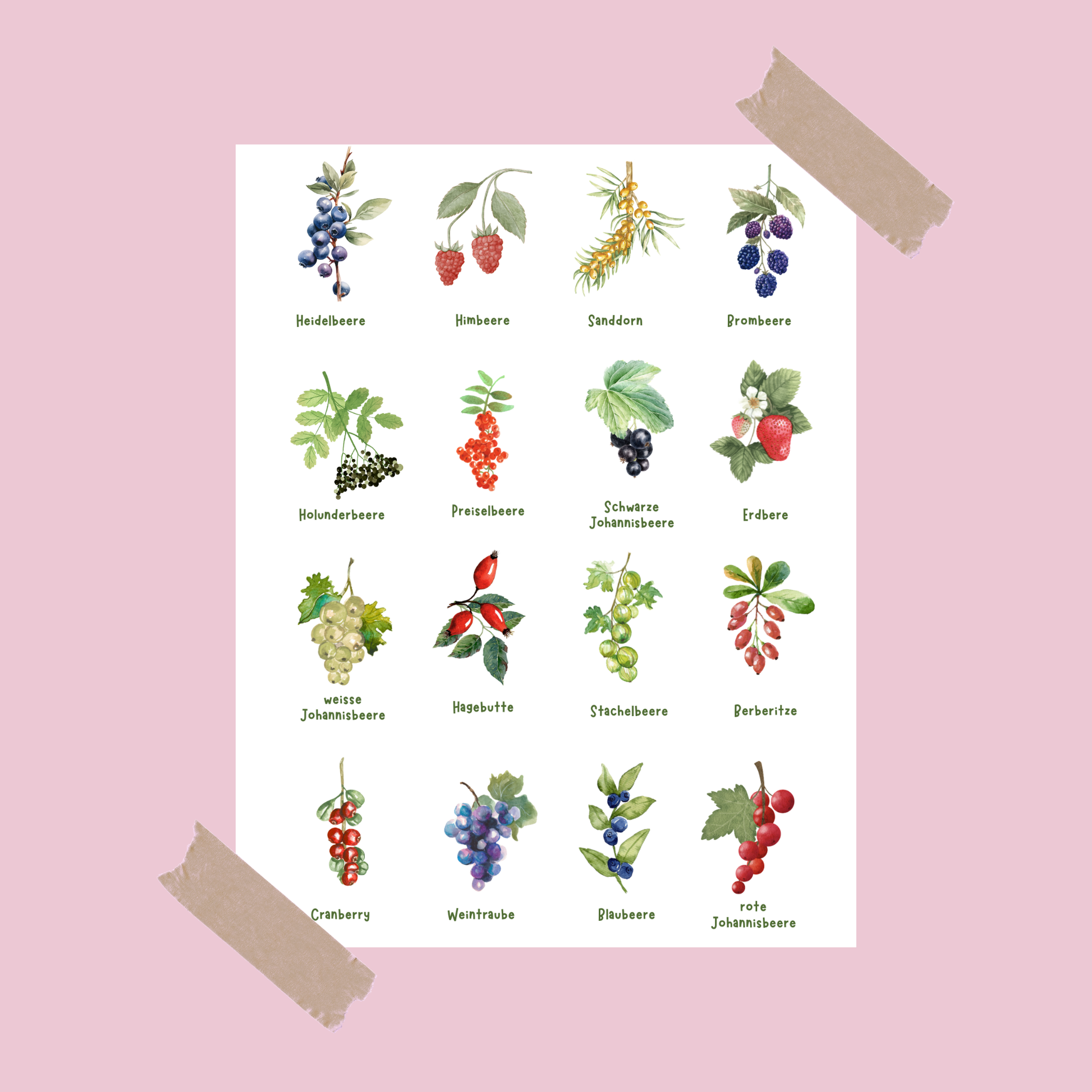 einzelnes Poster Beere in A4
