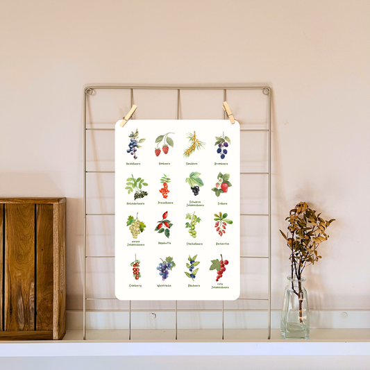 Poster mit Beeren an Metall-Pinnwand