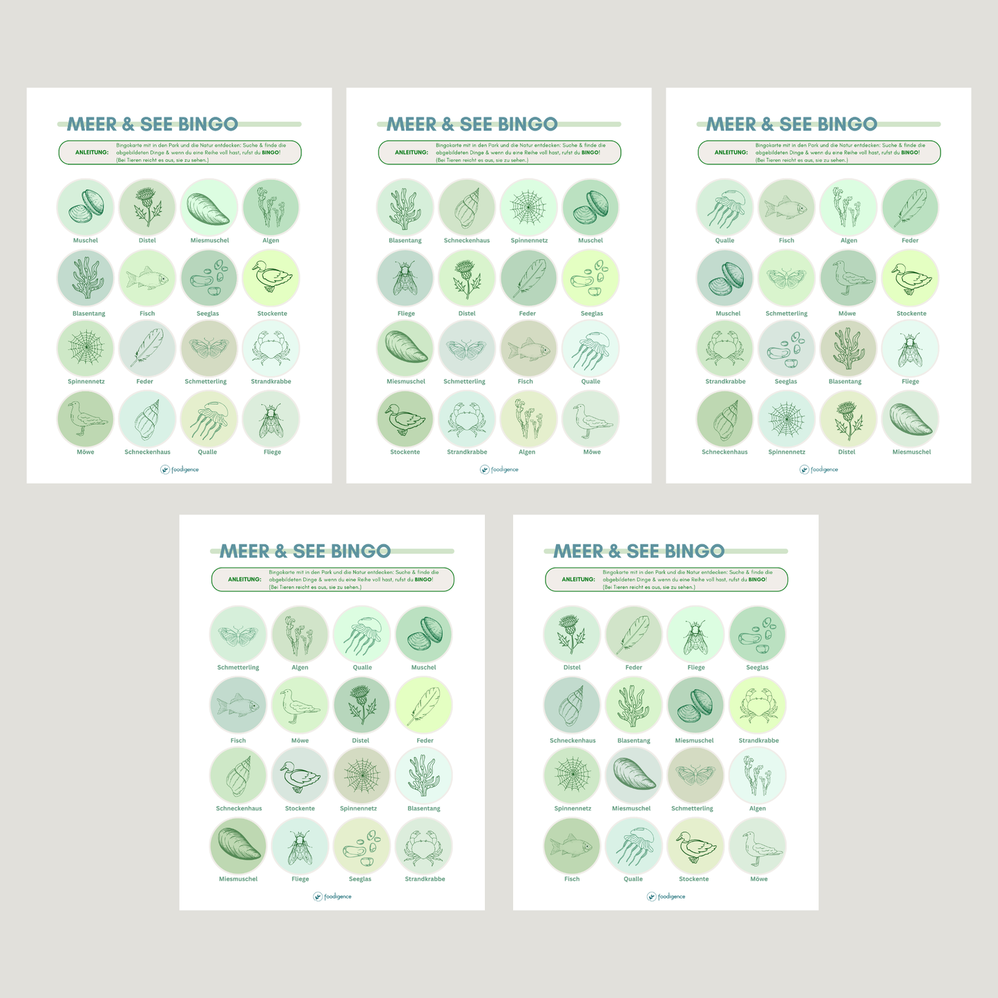 Abbildung der verschiedenen 5 Varianten des Bingos Meer bzw. See