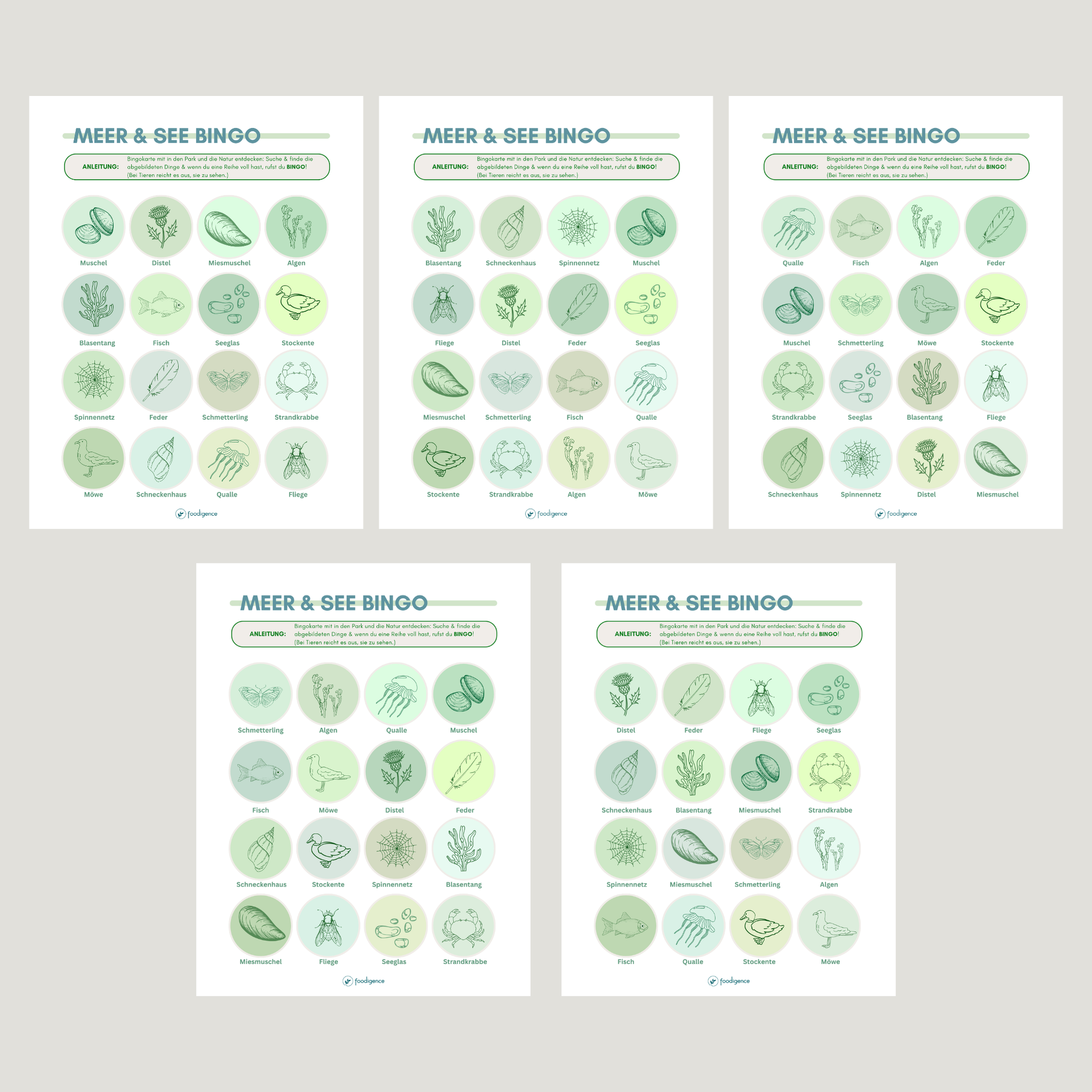 Abbildung der verschiedenen 5 Varianten des Bingos Meer bzw. See