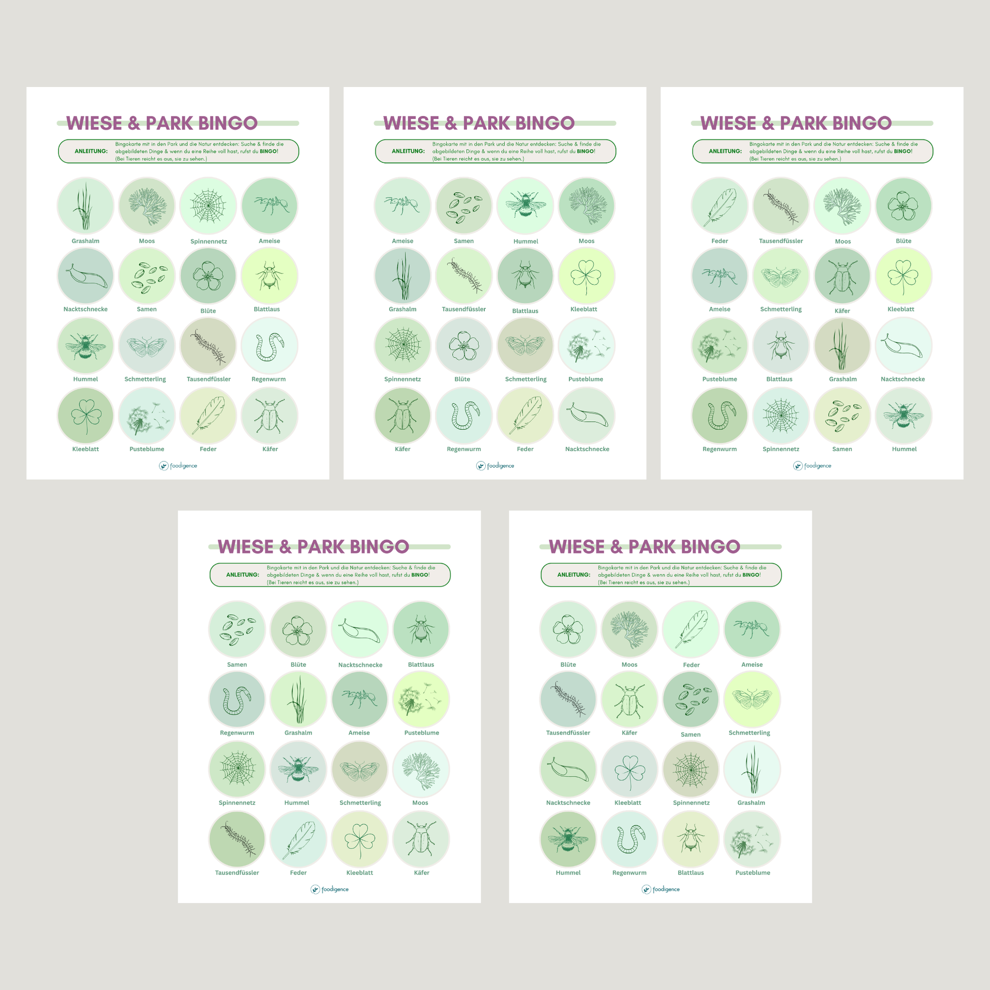 Abbildung der verschiedenen 5 Varianten des Bingos Park bzw. Wiese