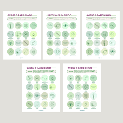 Abbildung der verschiedenen 5 Varianten des Bingos Park bzw. Wiese