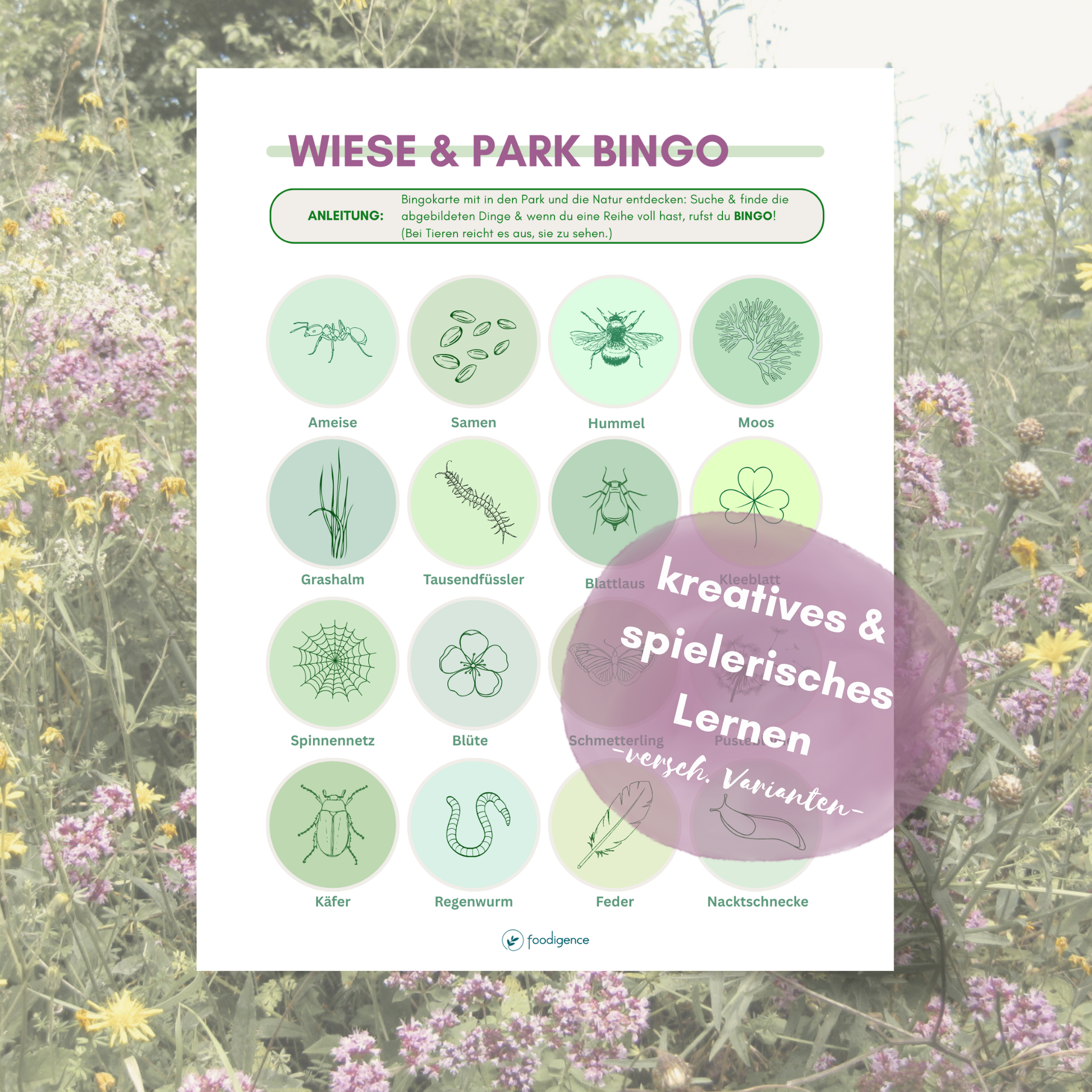 Park oder Wiese-Bingo als kreatives & nachhaltiges Spiel um die Natur zu entdecken von foodigence
