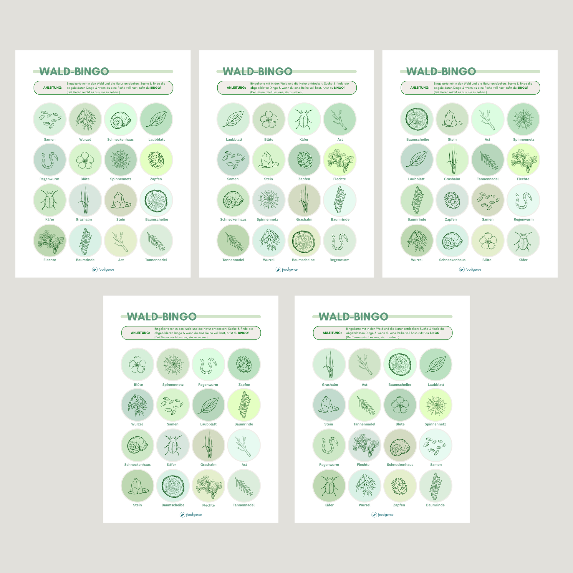 Abbildung der verschiedenen 5 Varianten des Bingos Wald 