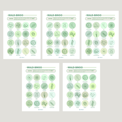 Abbildung der verschiedenen 5 Varianten des Bingos Wald 