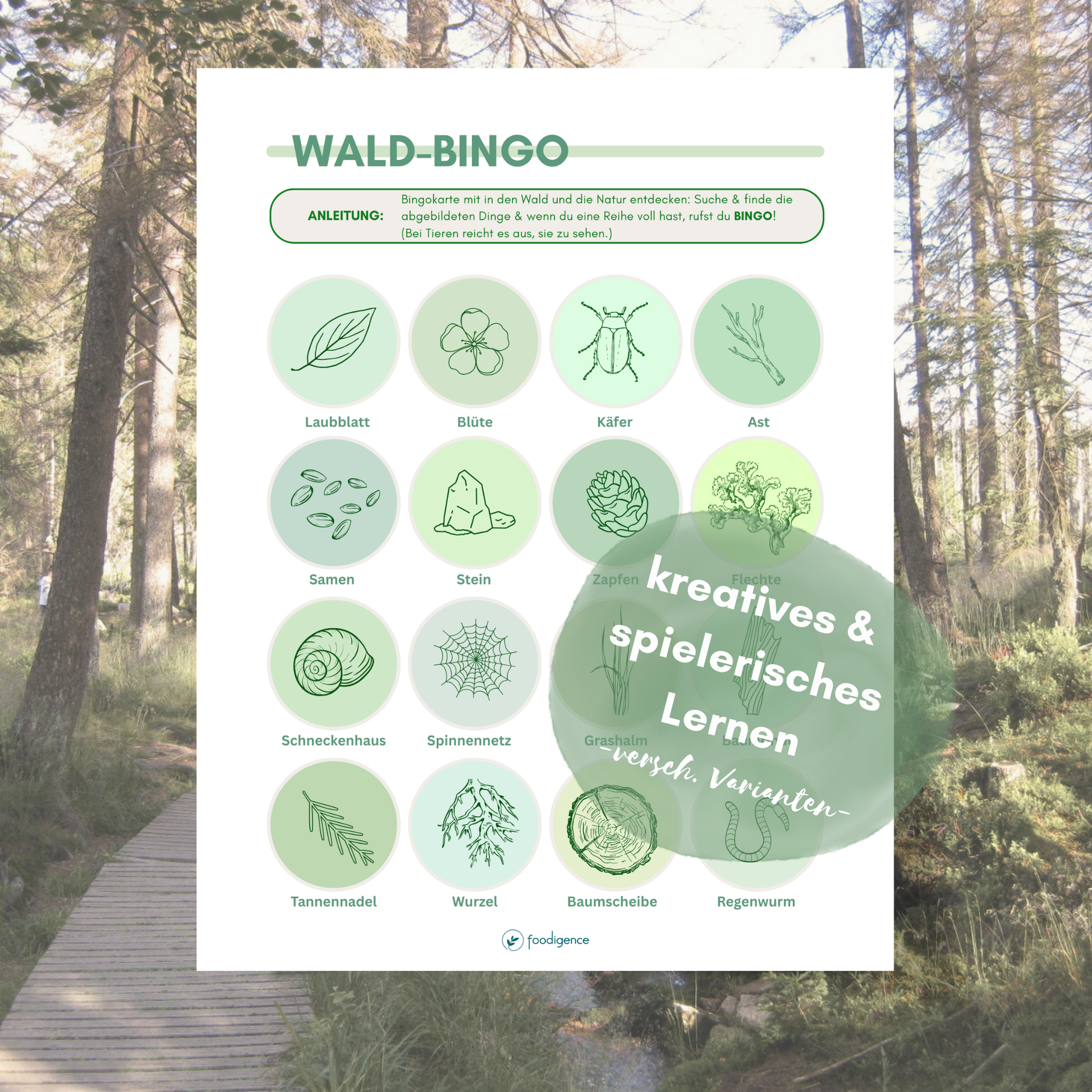 Wald-Bingo als kreatives & nachhaltiges Spiel um die Natur zu entdecken von foodigence