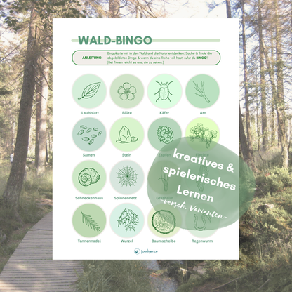 Wald-Bingo als kreatives & nachhaltiges Spiel um die Natur zu entdecken von foodigence