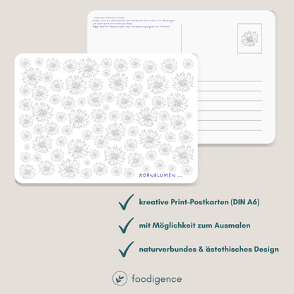 Übersicht zur Postkartenserie Essbare Blüten von foodigence