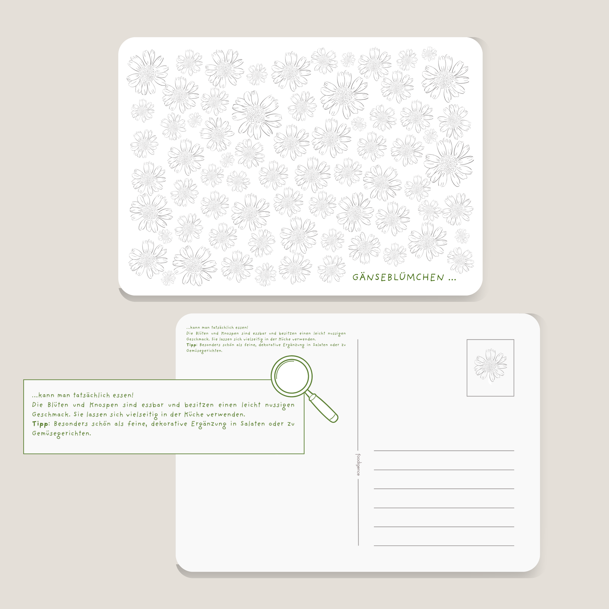 Postkarte  DIY GÄNSEBLÜMCHEN mit Tipps zum Verzehr der Blüten von foodigence