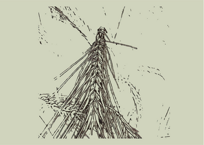 Getreide-Gerste-Postkarte-foodigence-1
