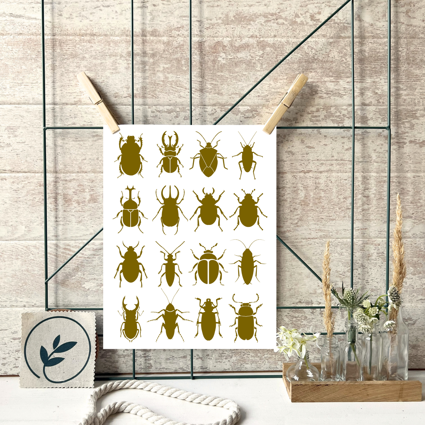 Beispiel Anwendung des Posters Käfer von foodigence an einer Pinnwand