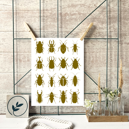 Beispiel Anwendung des Posters Käfer von foodigence an einer Pinnwand