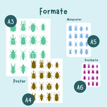 Übersicht der Formate der Tierposter hier Käfer von A6 bis A3