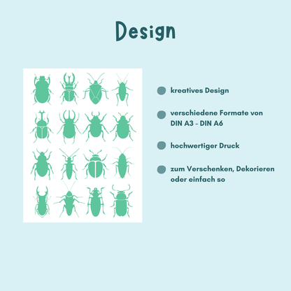 Übersicht zum Poster KÄFER