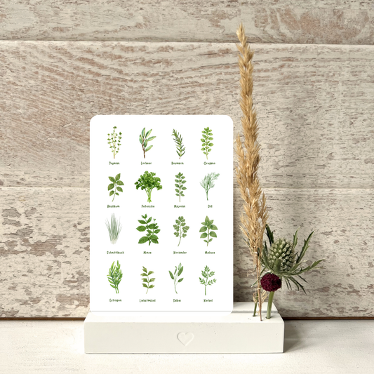 Kräuter-Miniposter in einem Kartenständer